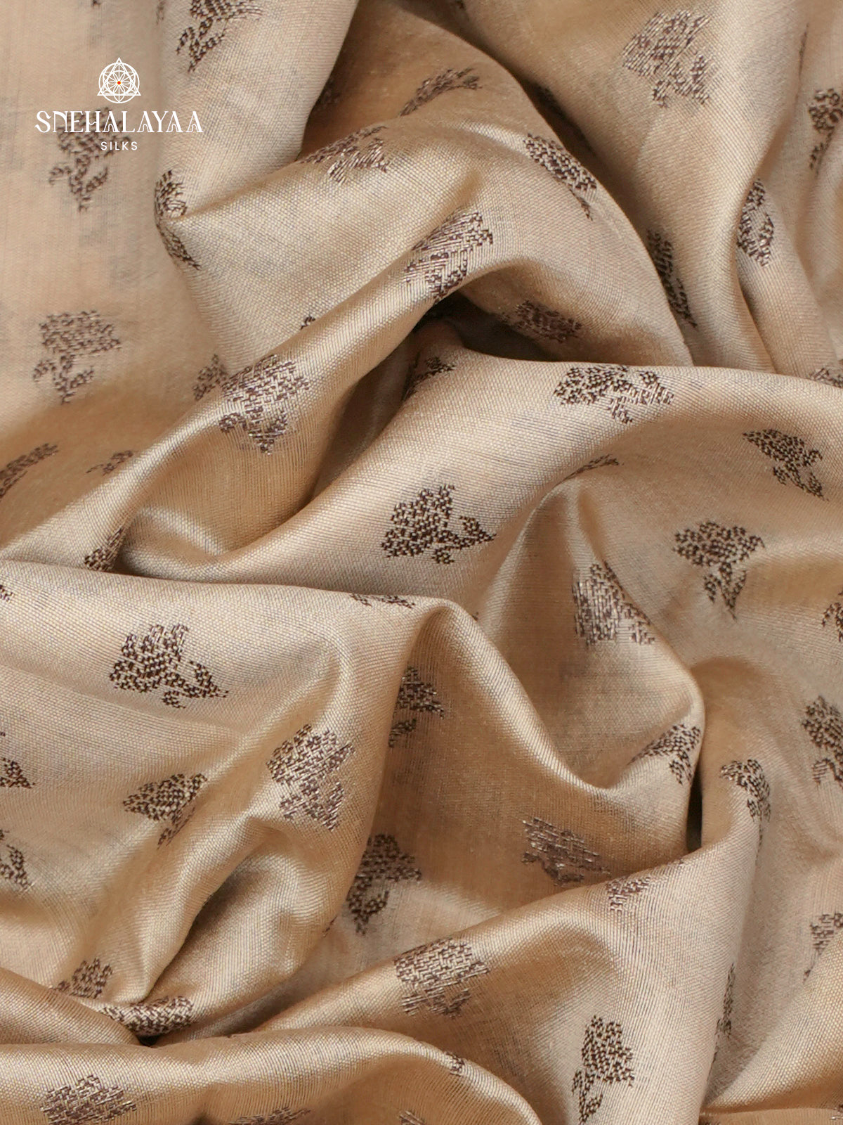 Beige Banaras Chiniya Silk Saree