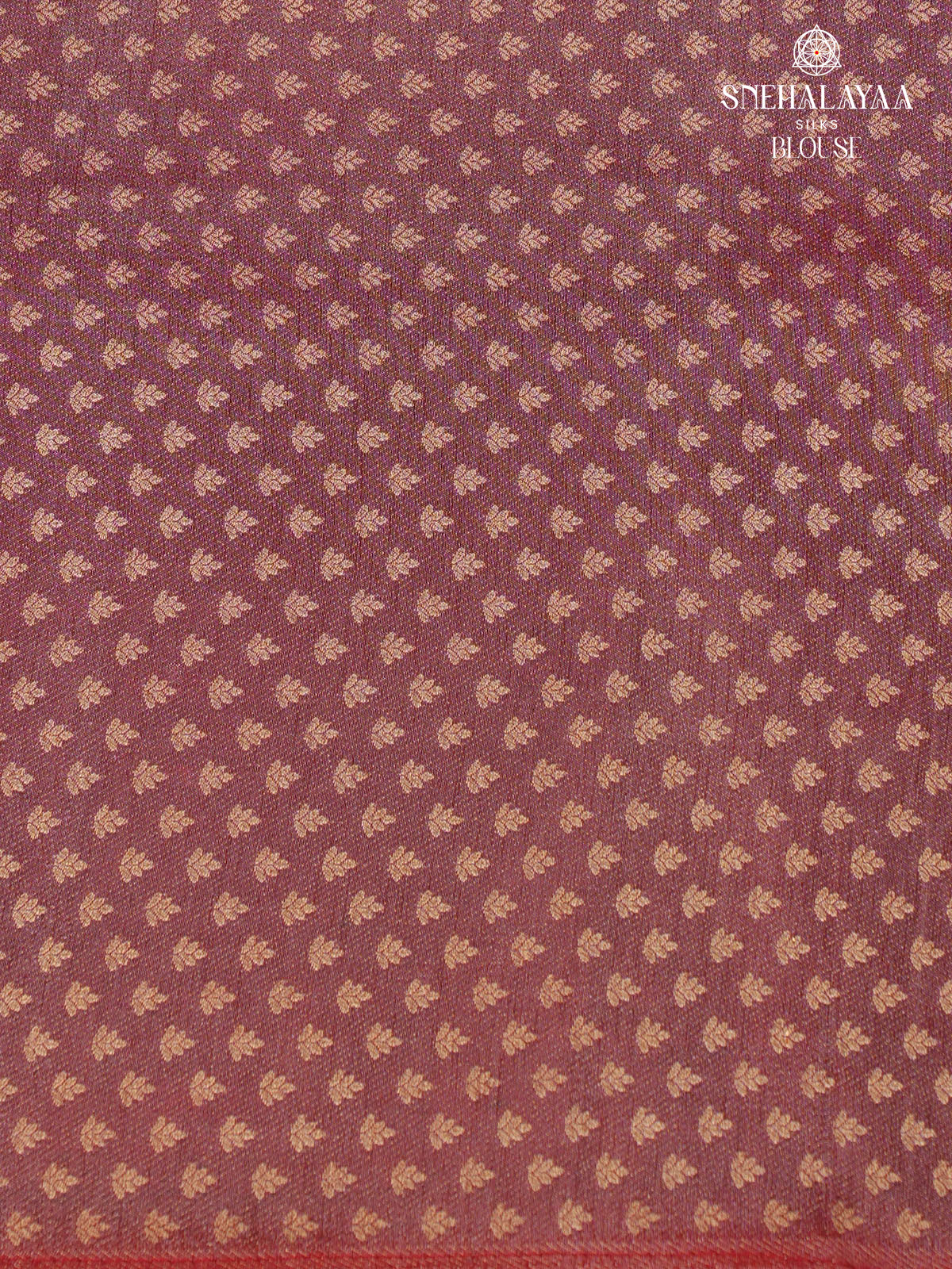 Cream Banaras Silk Saree