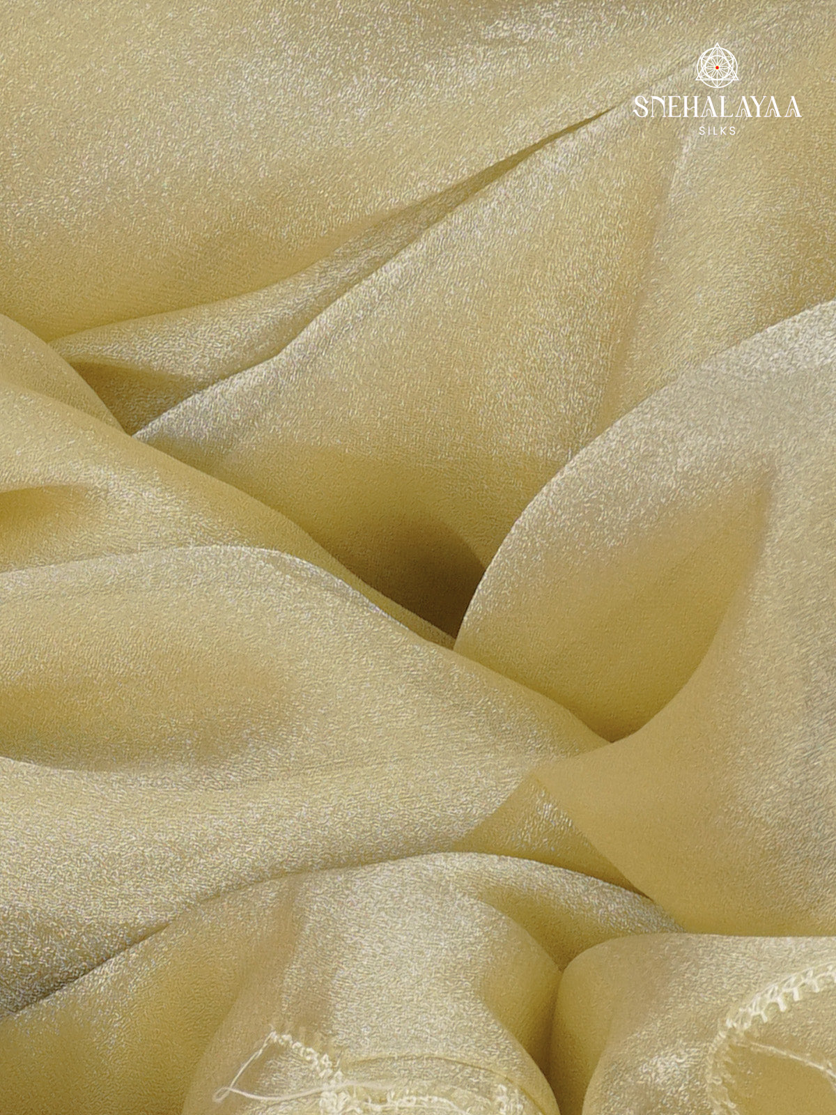 Pale Gold Embroidery Designer Saree