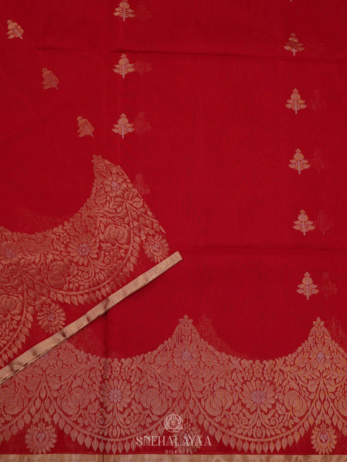 Red Kora Silk Cotton Saree