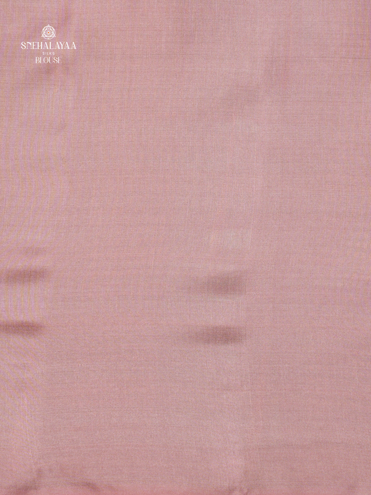 Parrot Green Borderless Kanjivaram Soft Silk Saree