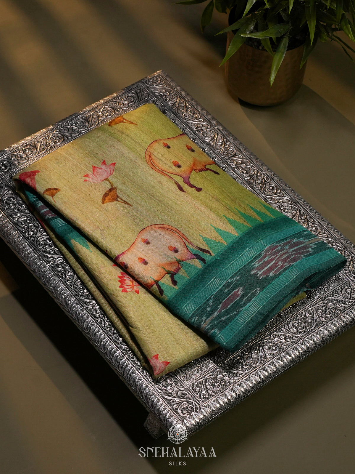 Olive Green Munga Tussar Saree