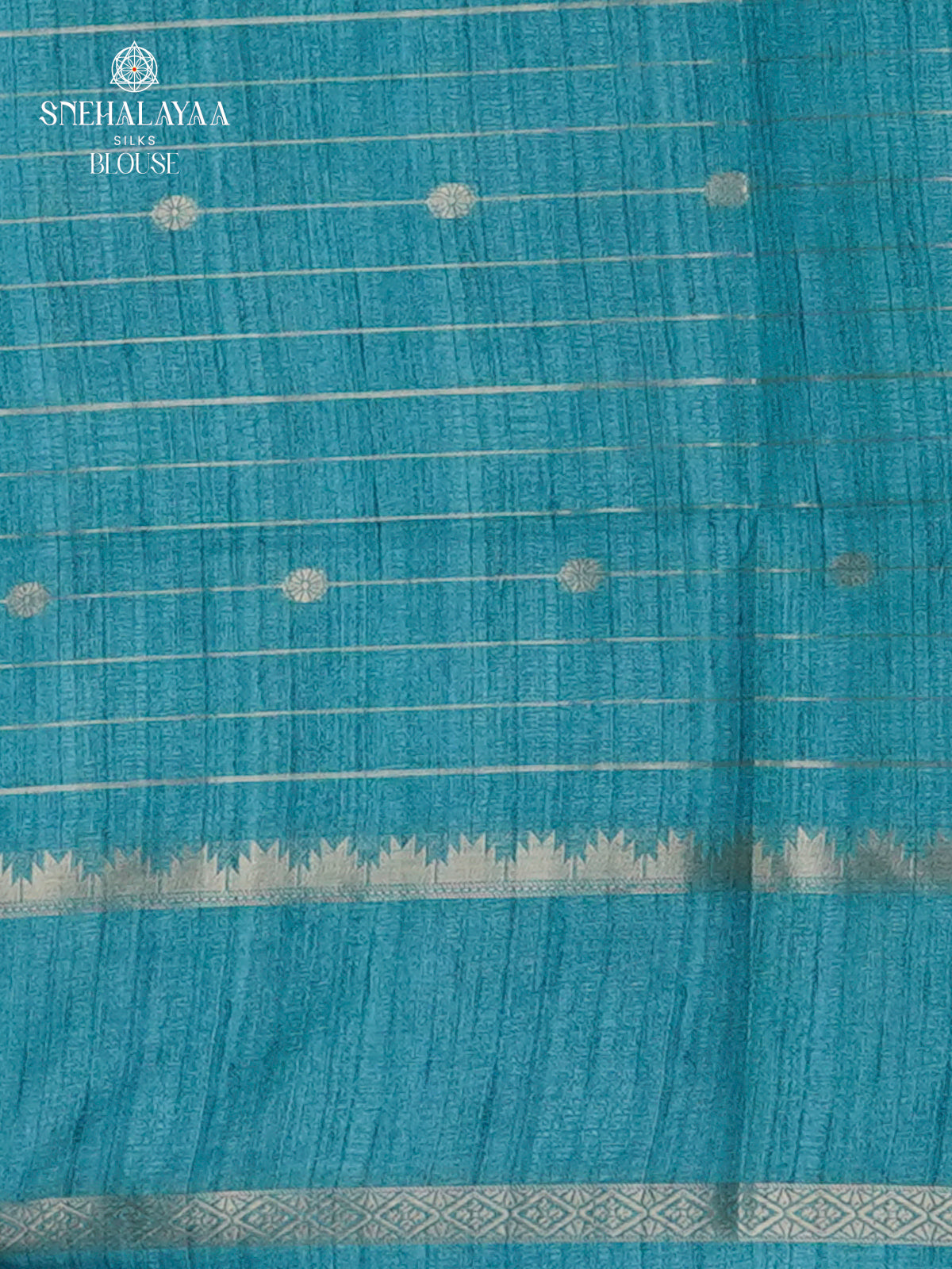 Pastel Green Tussar Saree