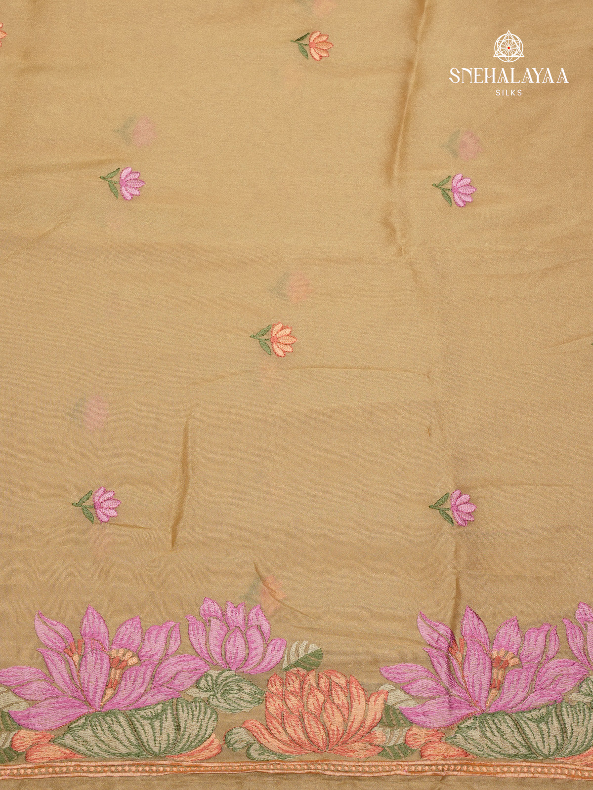 Pale Gold Embroidery Designer Saree