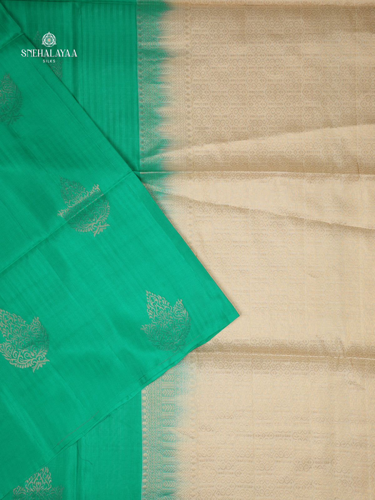 Sea Green Borderless Kanjivaram Soft Silk Saree