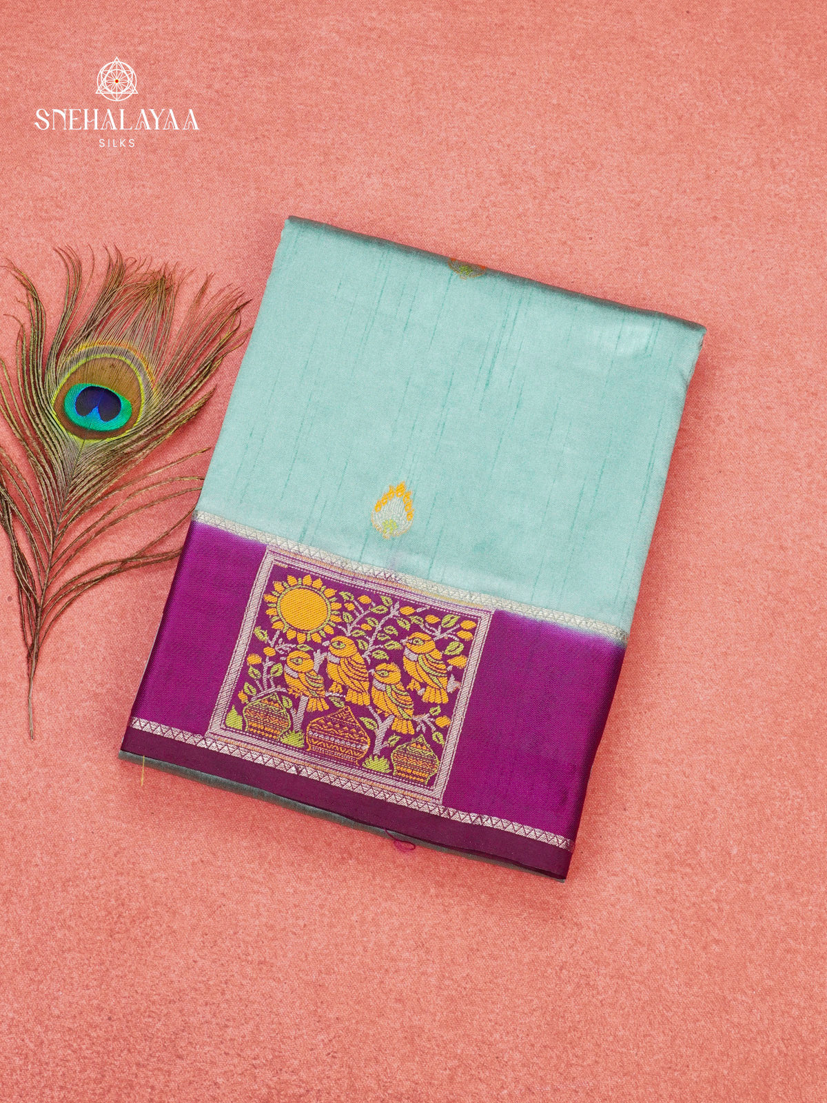 Seafoam Green Banaras Dola Silk Saree