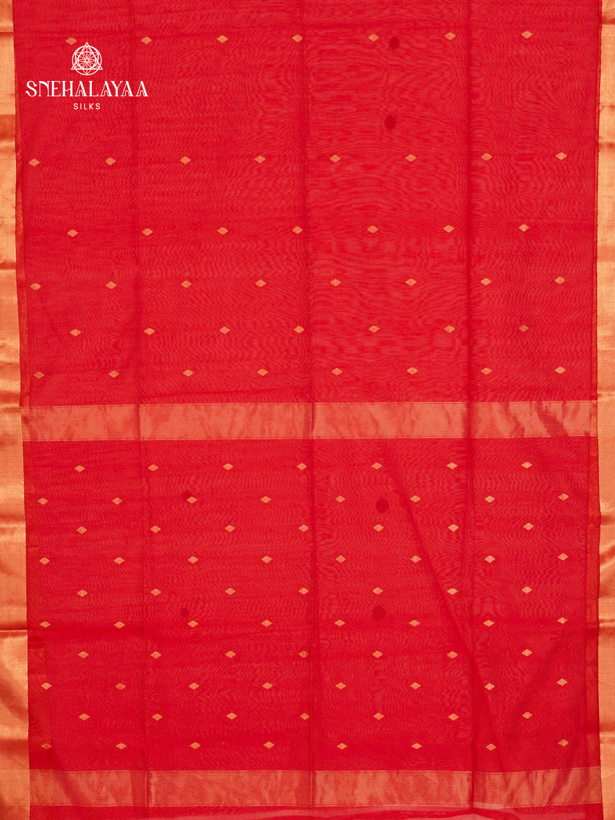 Red Maheshwari Silk Cotton Saree
