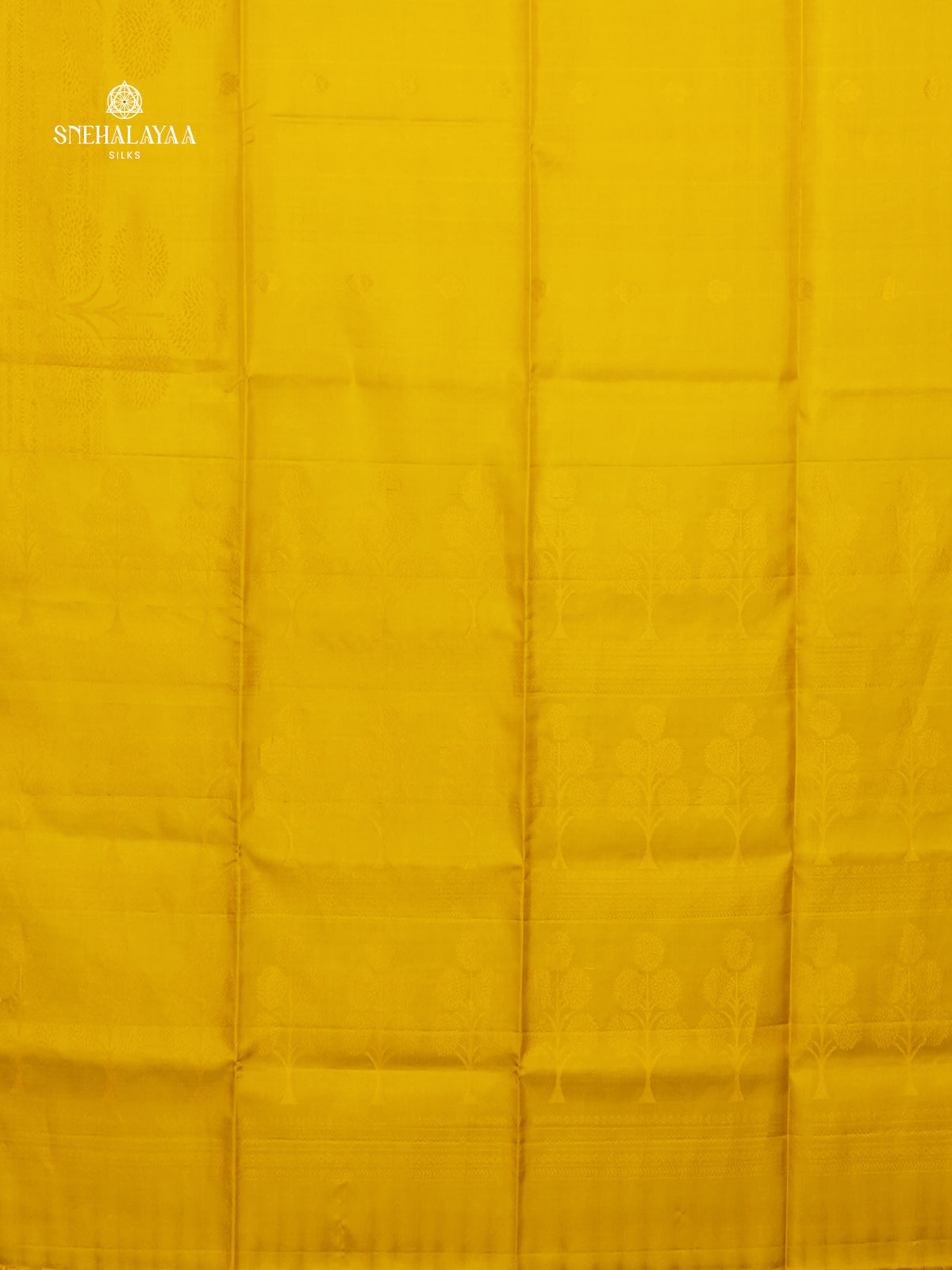 Yellow Borderless Kanjivaram Soft Silk Saree