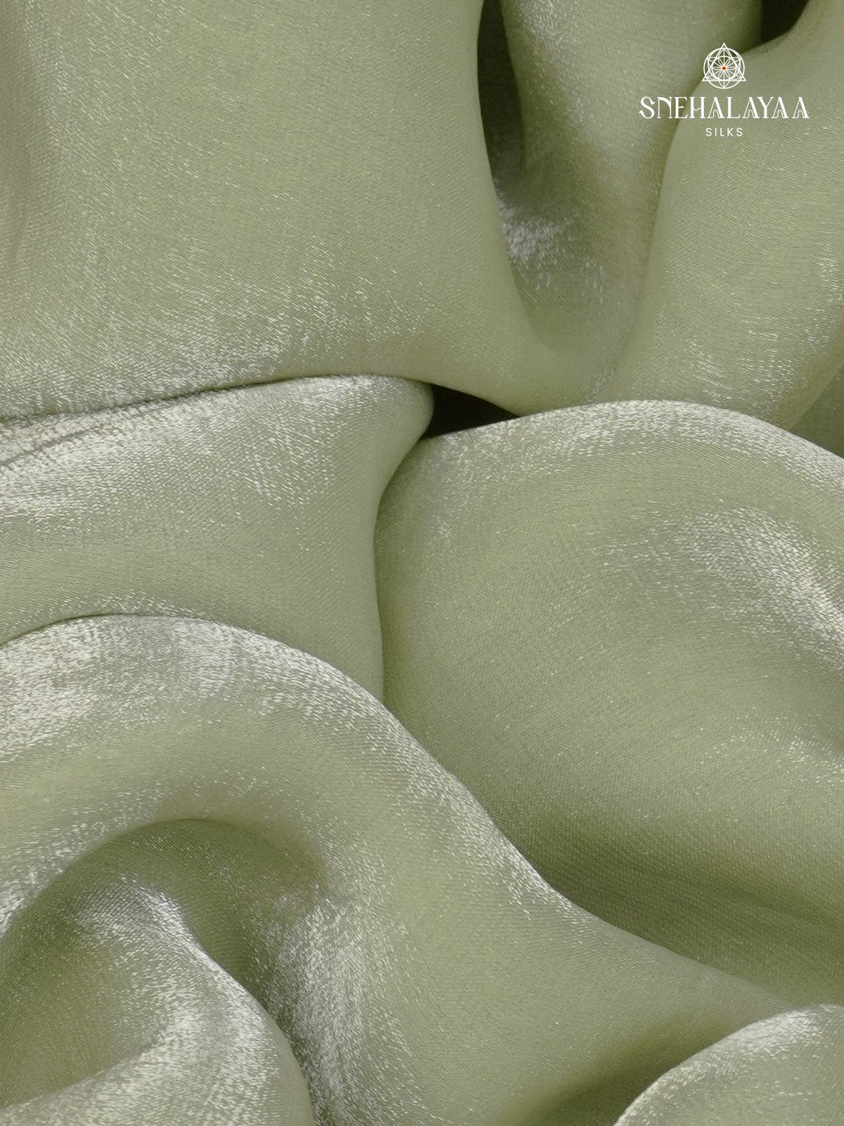 Pastel Green Designer Saree