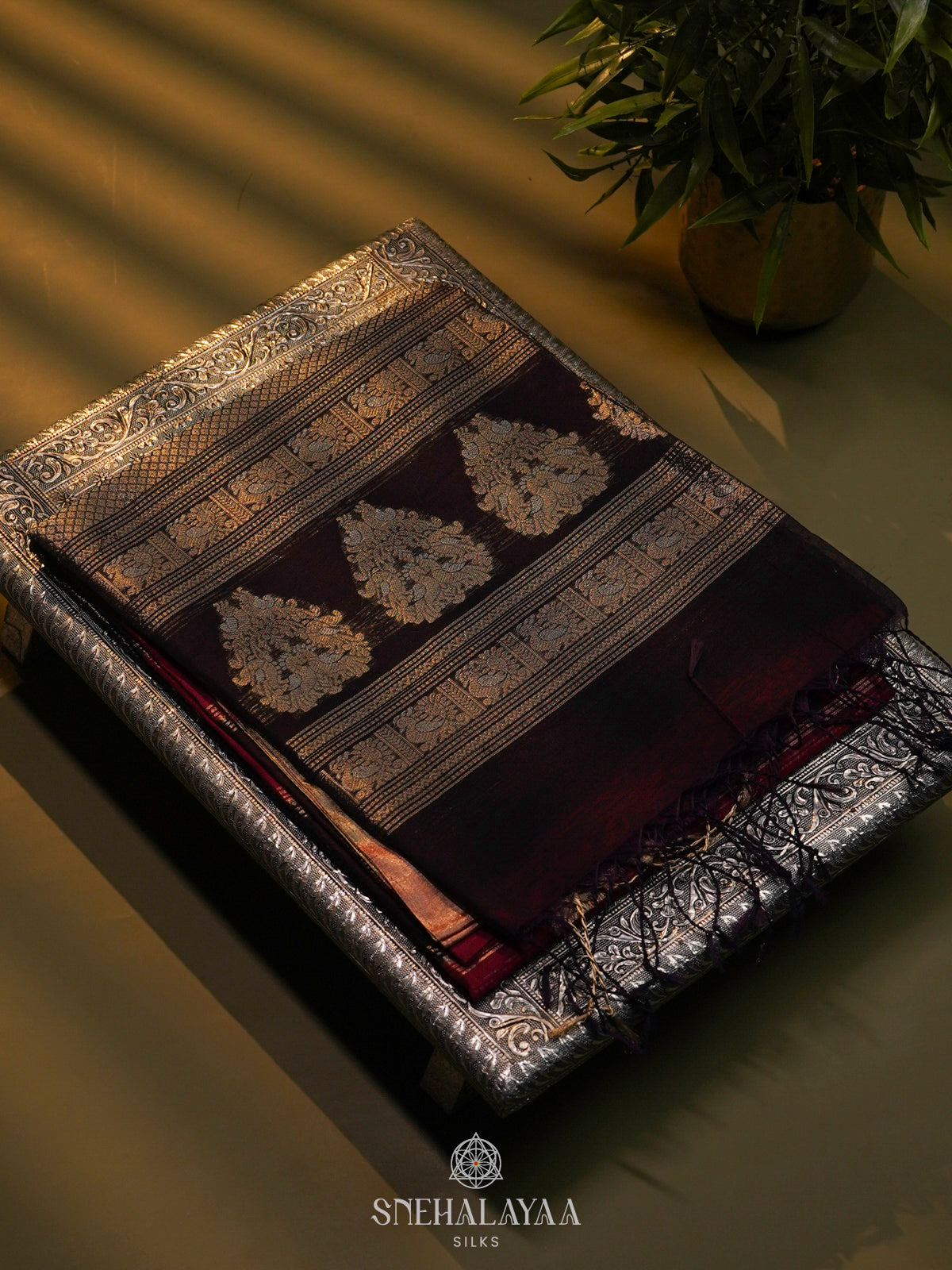 Black Kora Silk Cotton Saree