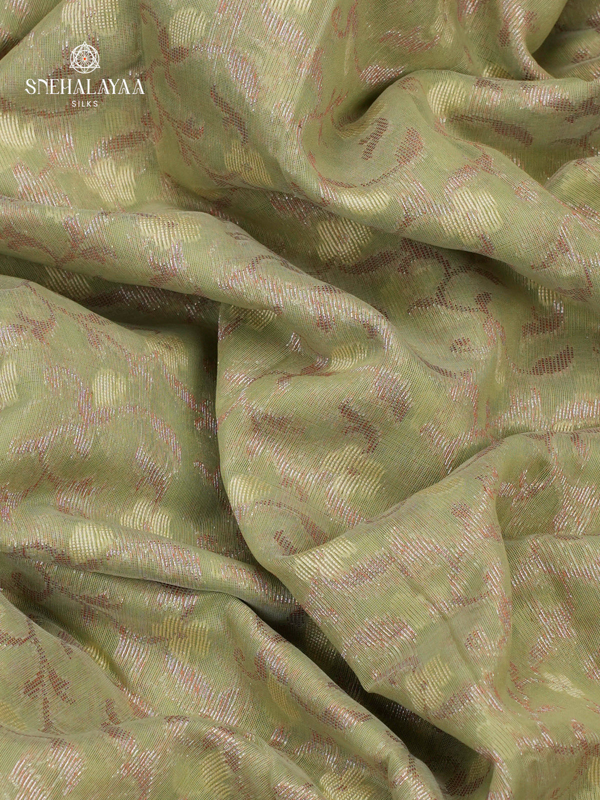 Pastel Green Chiniya Silk Saree with Silver Woven Border