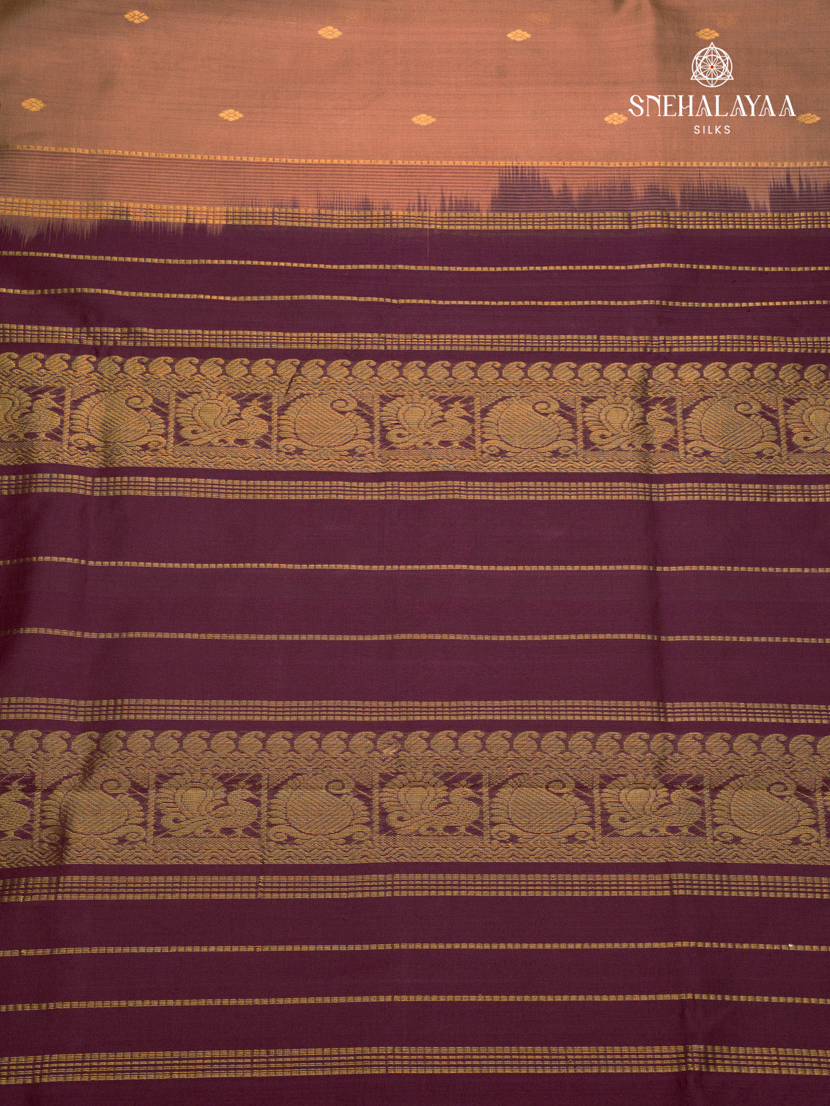 Brown Kanchi Silk Cotton Saree