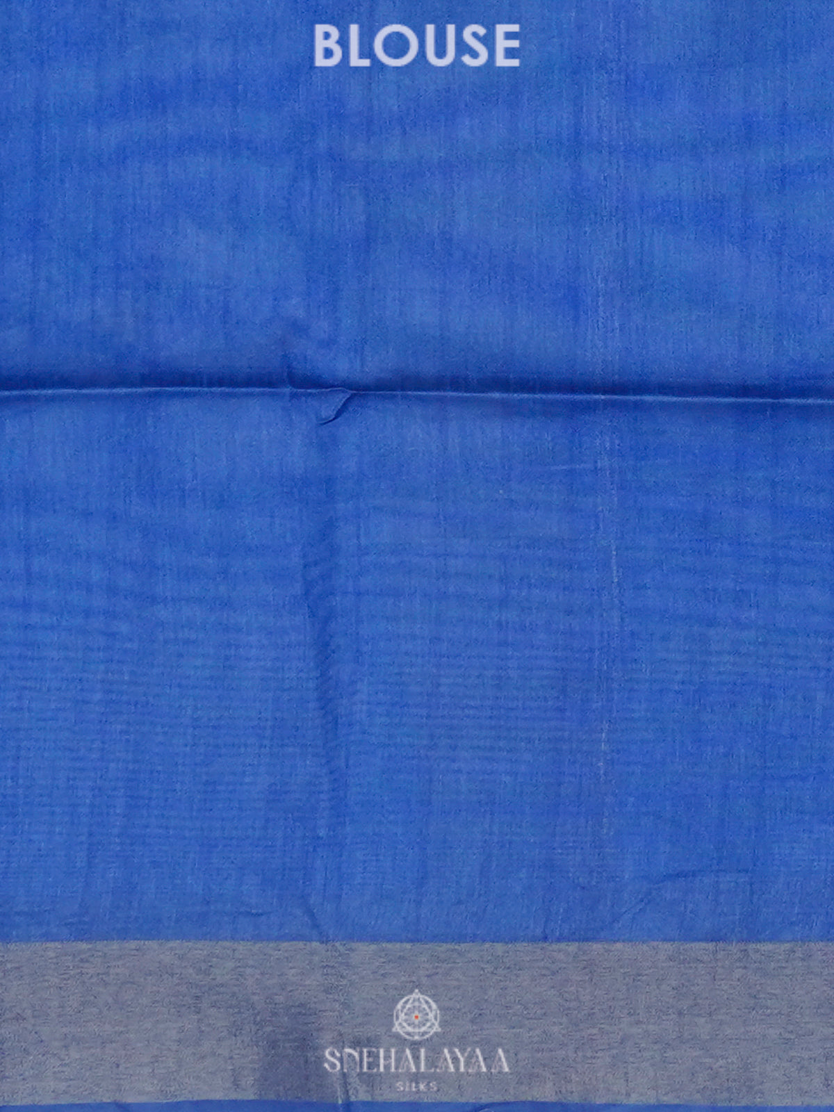 Beige with Blue Border Tussar Saree