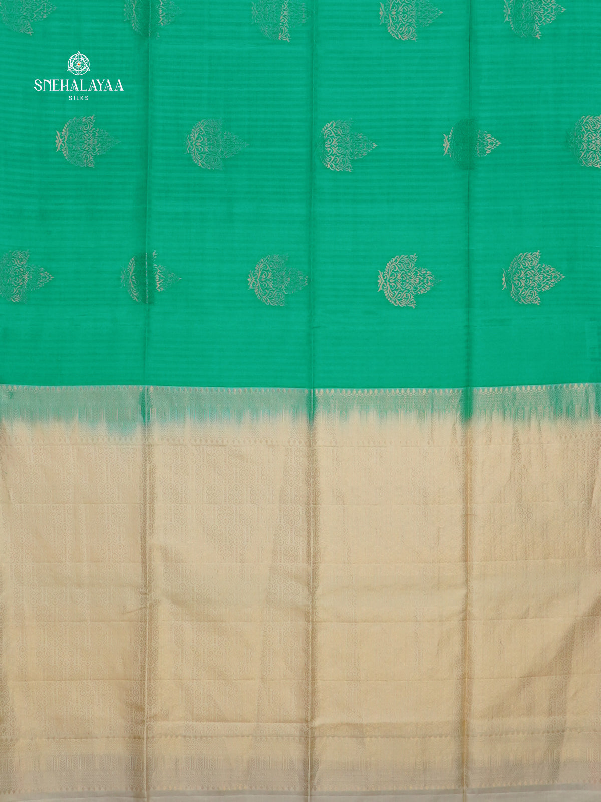 Sea Green Borderless Kanjivaram Soft Silk Saree