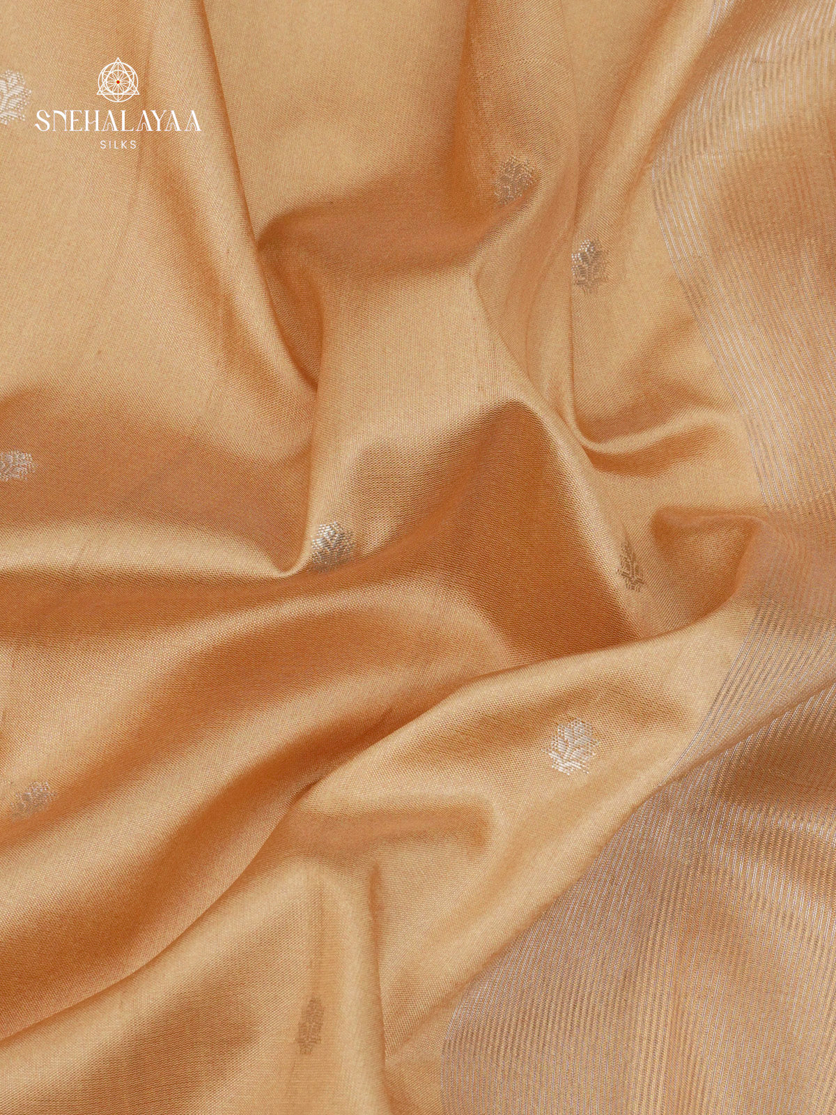 Cream Banaras Dola Silk Saree