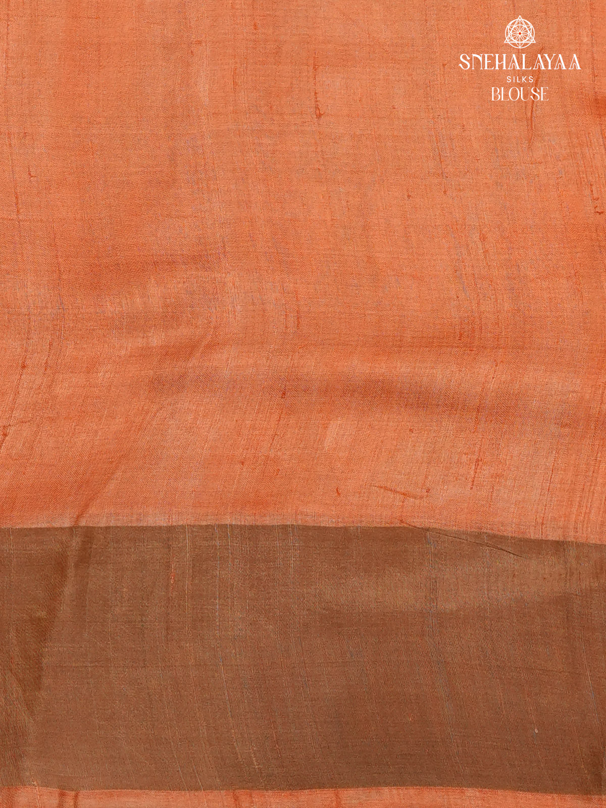 Multicolour Tussar Silk Saree