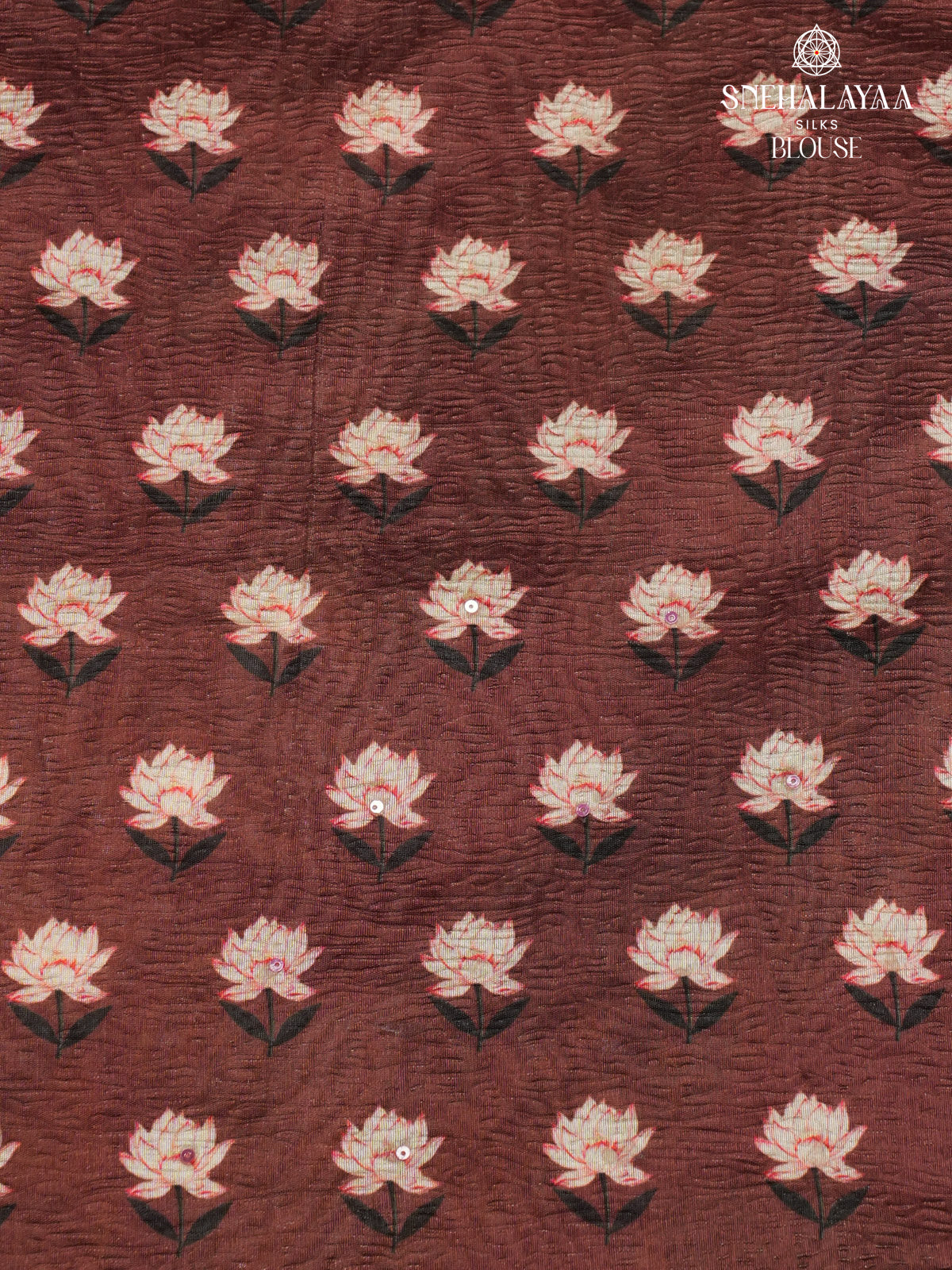 Brown Crush Embroidery Saree