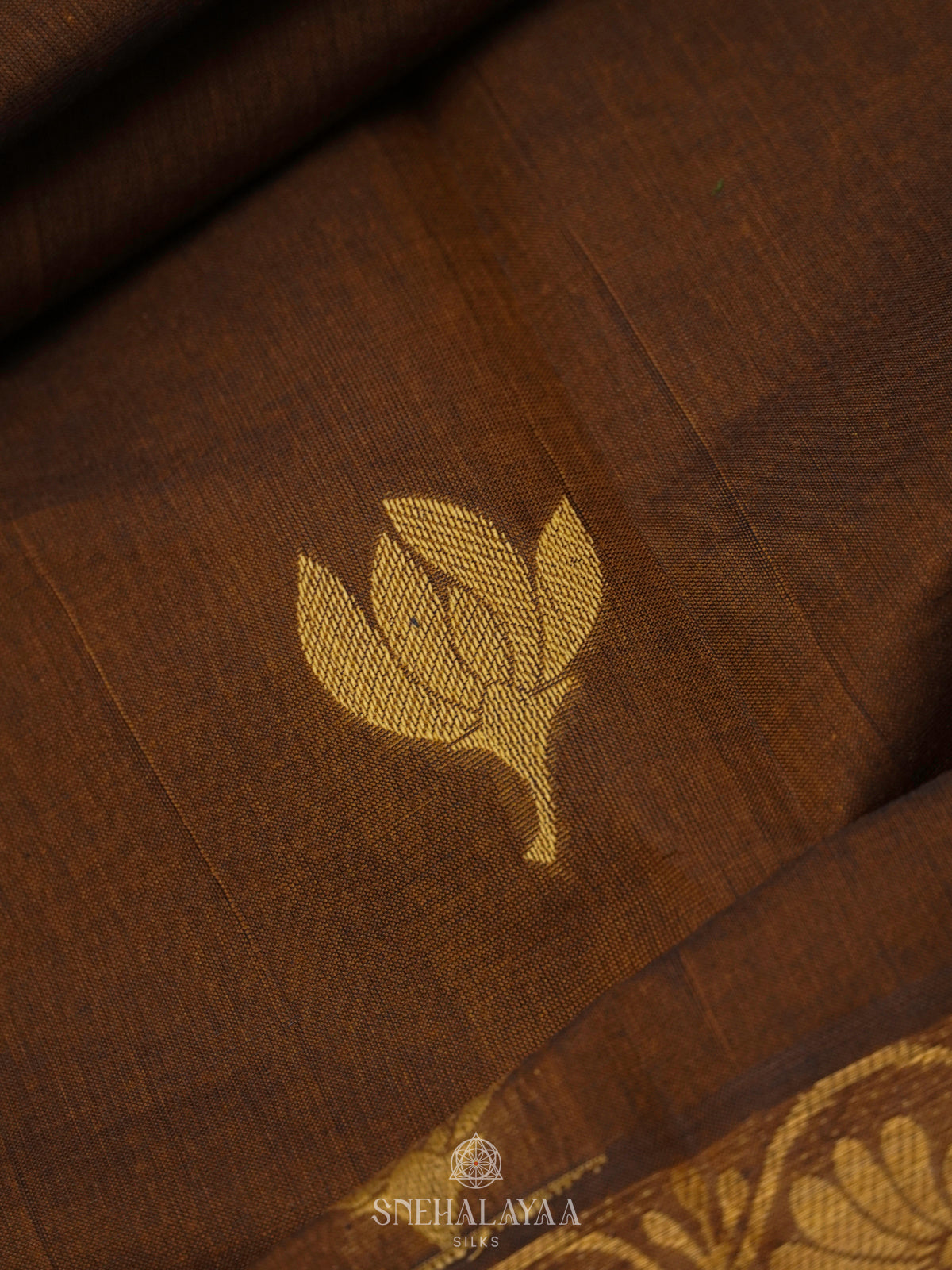 Brown Handloom Cotton Saree