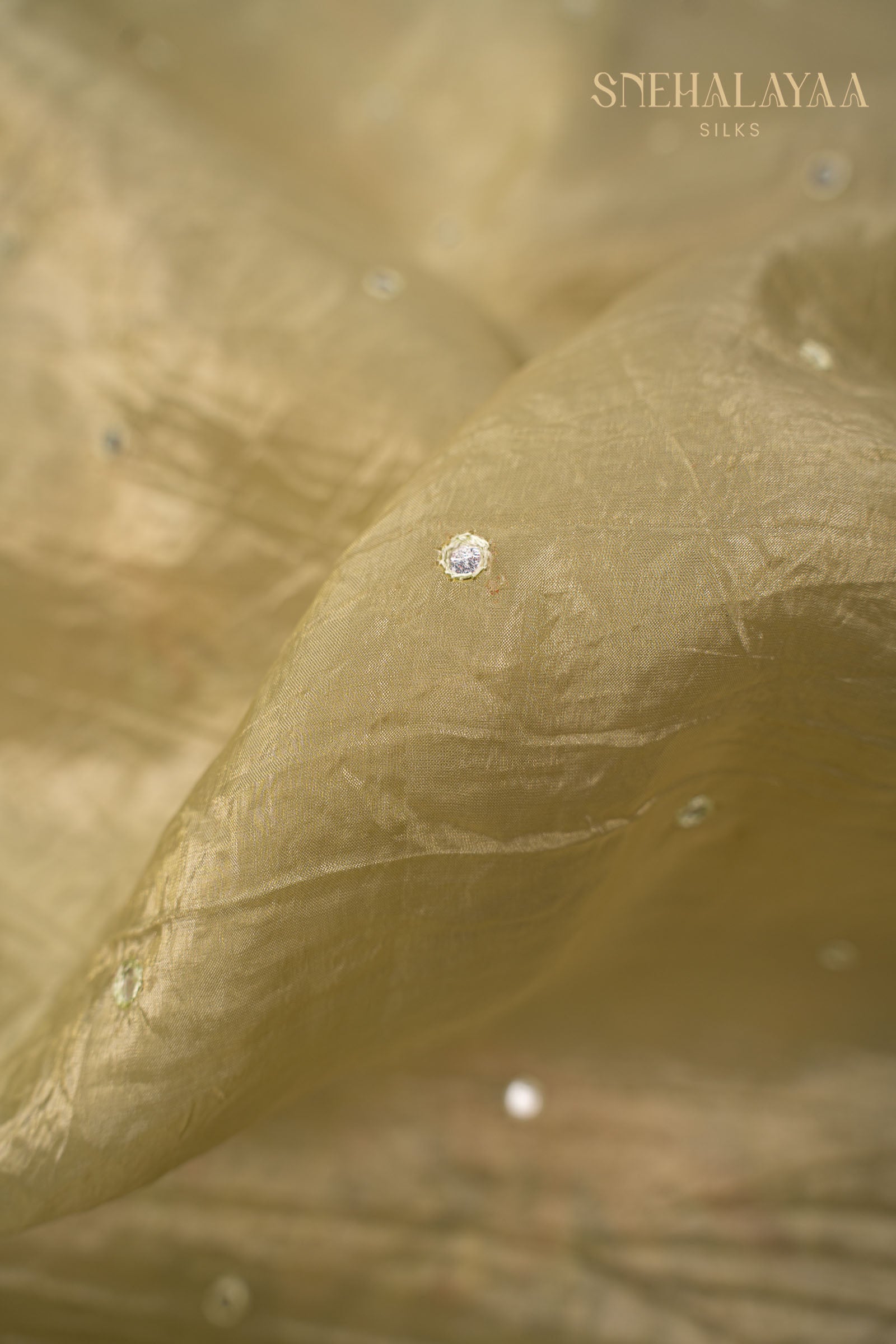 Olive Green Designer Saree