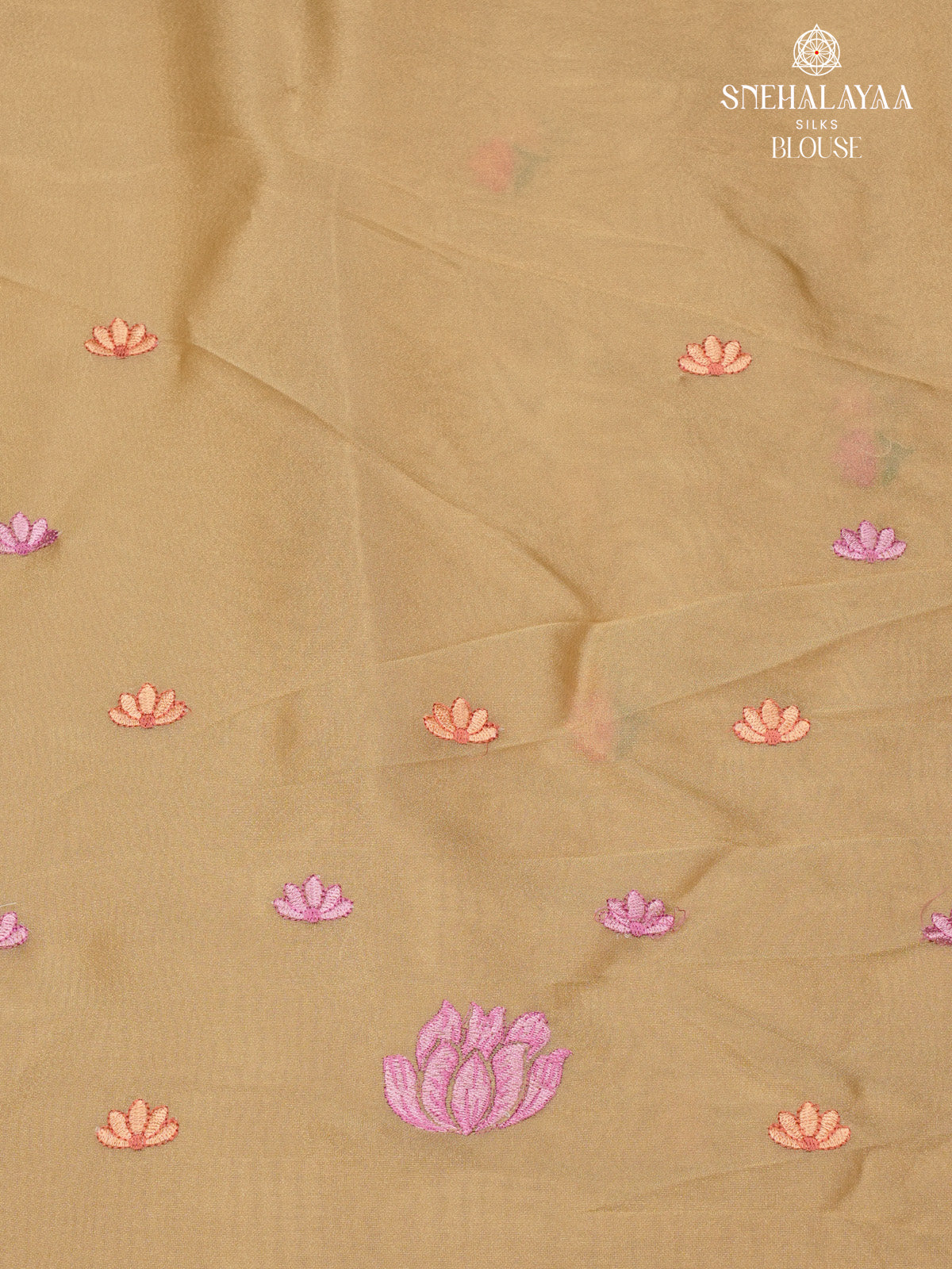 Pale Gold Embroidery Designer Saree