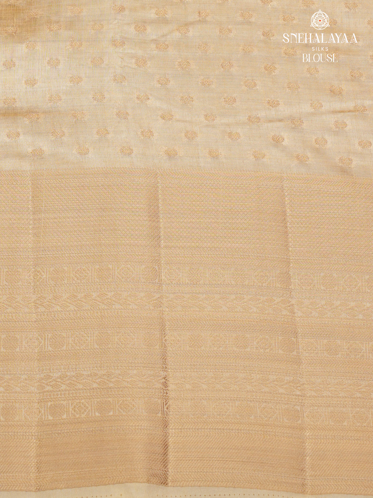 Beige Raw Silk Saree