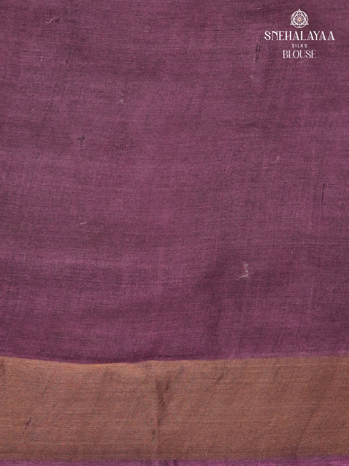 Beige Tussar Silk Saree