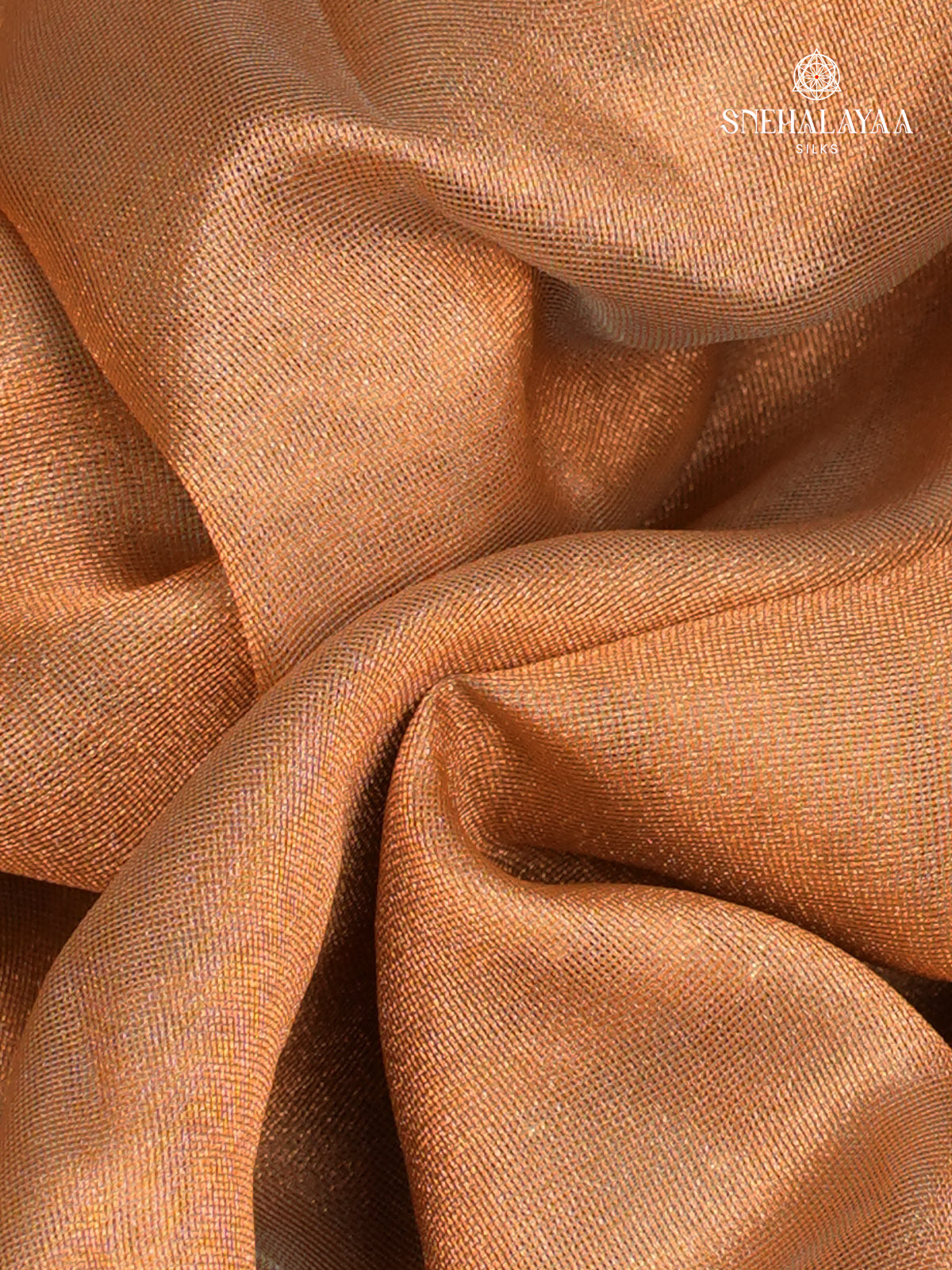 Beige Designer Saree