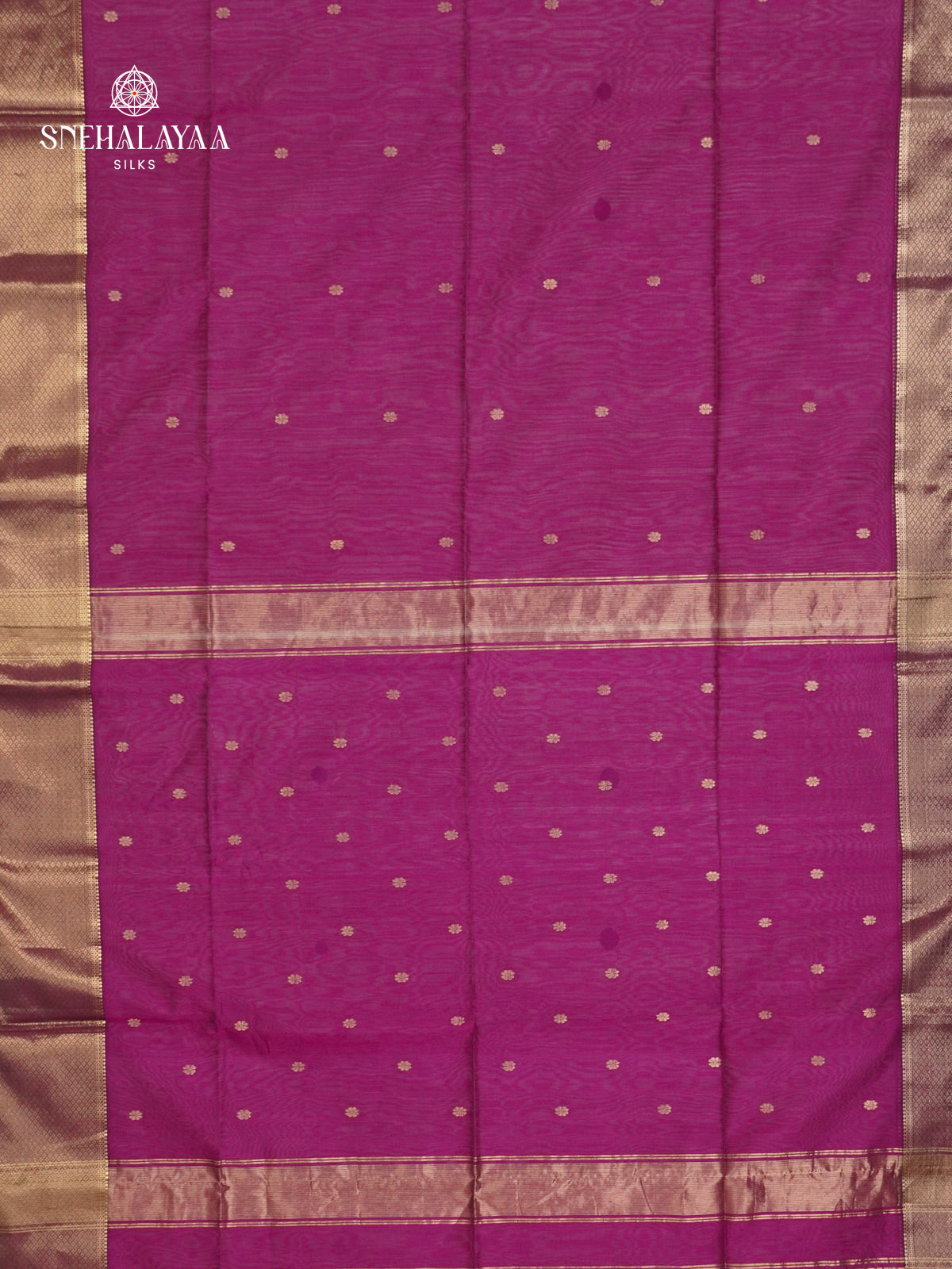 Viloet Maheshwari Silk Cotton Saree