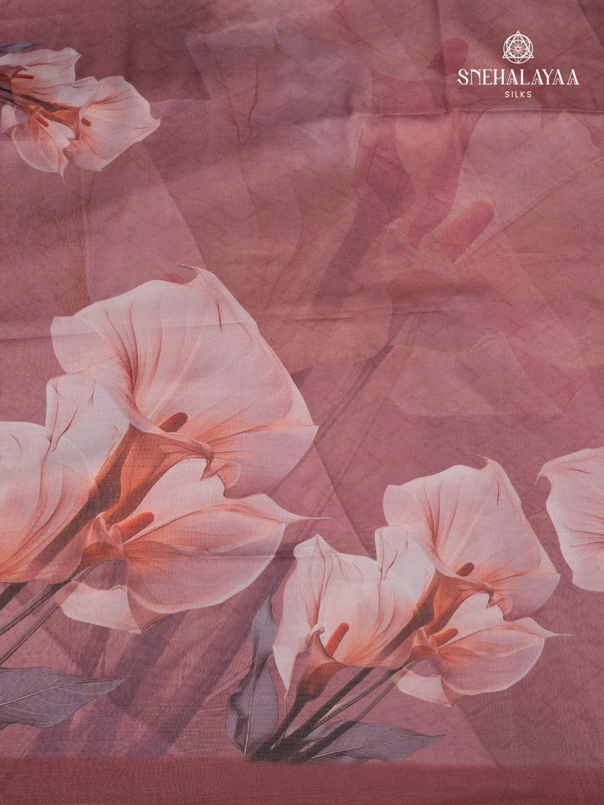 Plum Dola Silk Saree