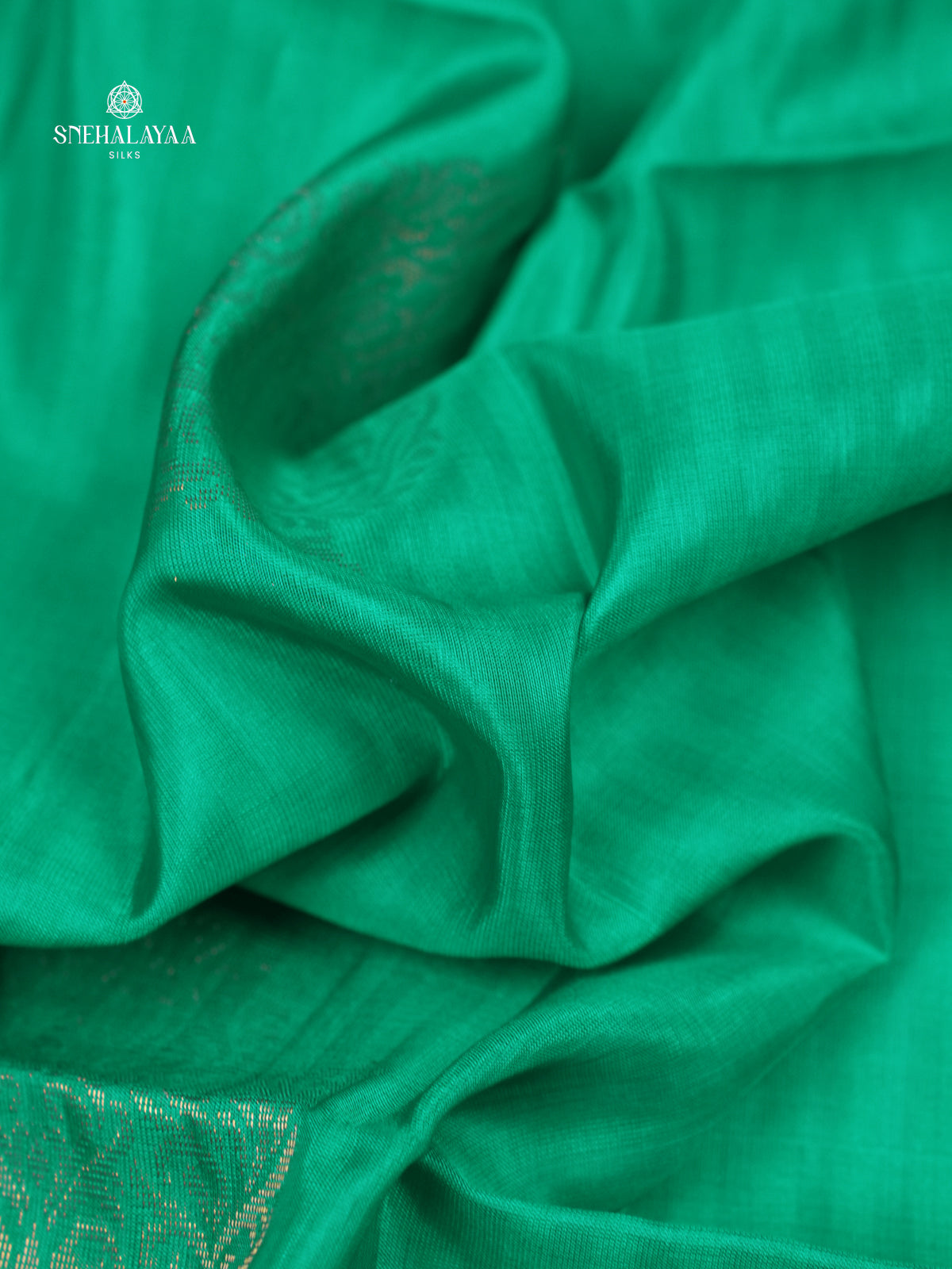 Sea Green Borderless Kanjivaram Soft Silk Saree