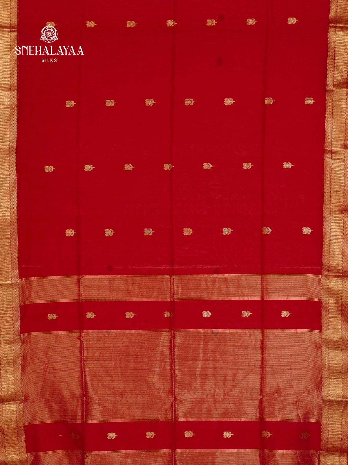 Red Maheshwari Silk Cotton Saree