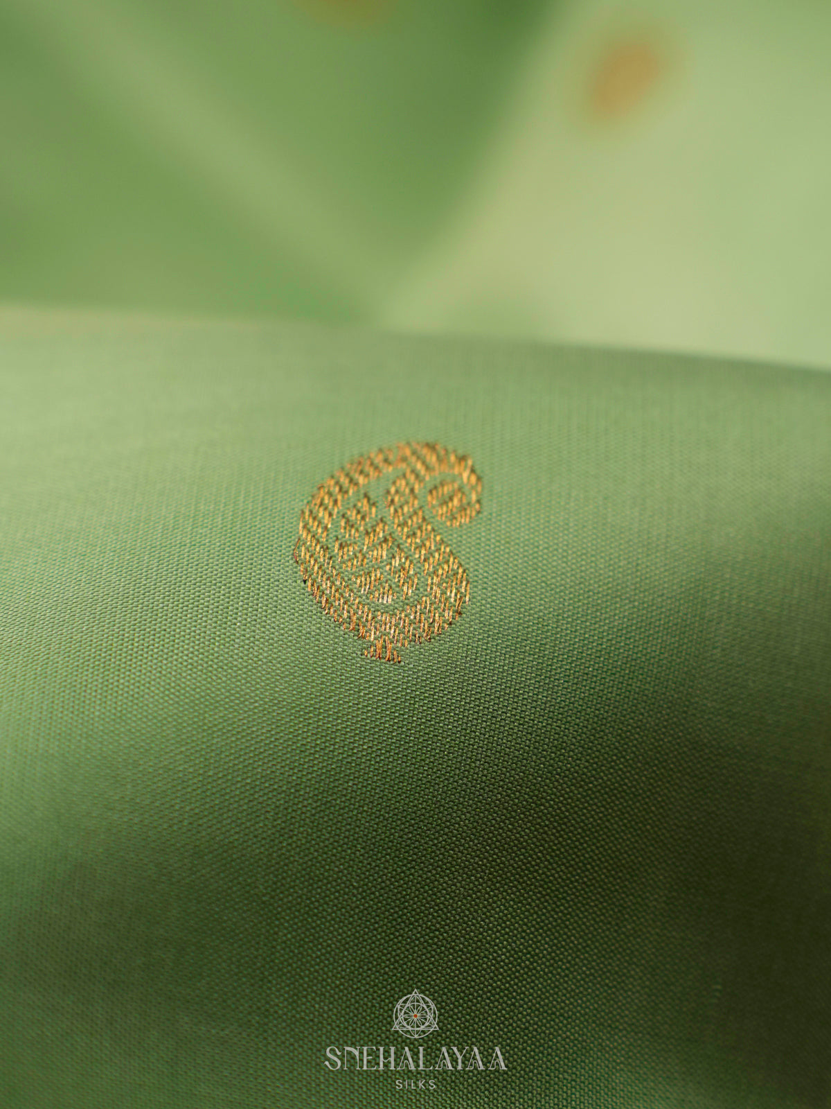 Pista Green Kanjivaram Silk Saree