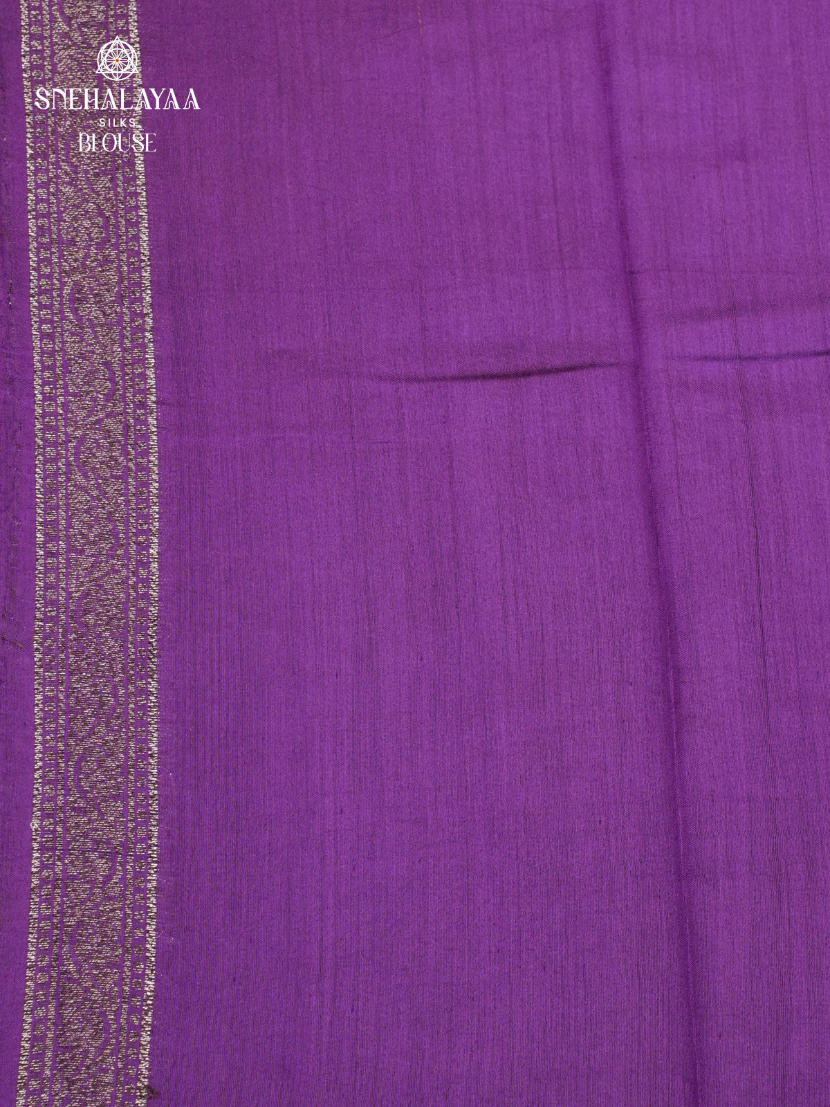 Beige Banaras Chiniya Silk Saree