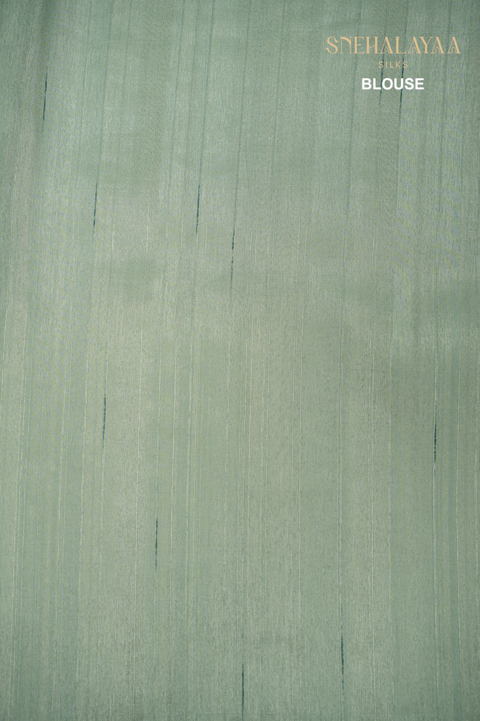 Fern Green Raw Silk Saree