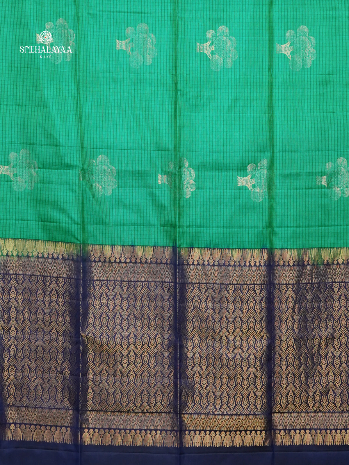 Seafoam Green Borderless Knjivaram Soft Silk Saree