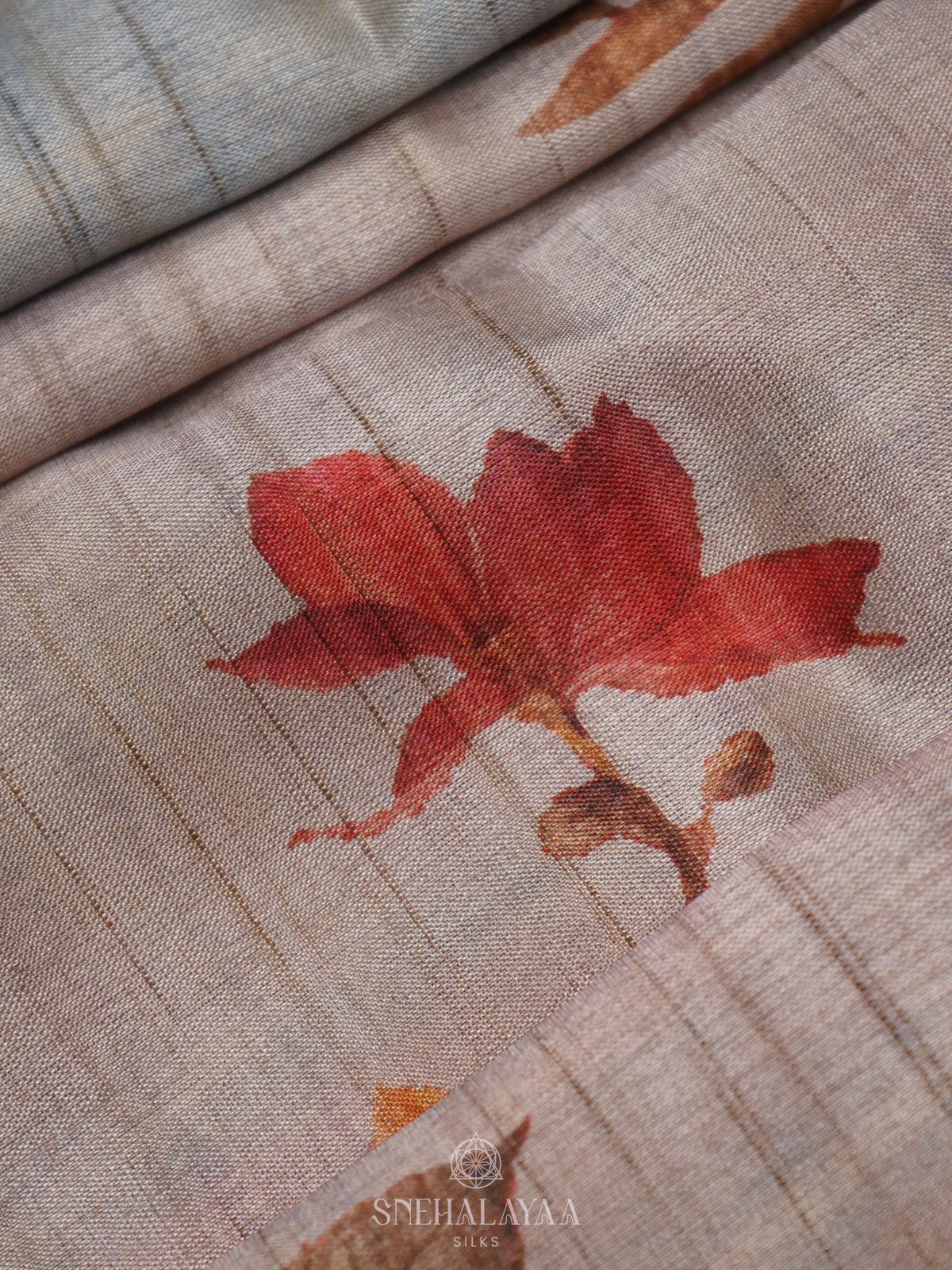 Off White Floral Tussar Saree