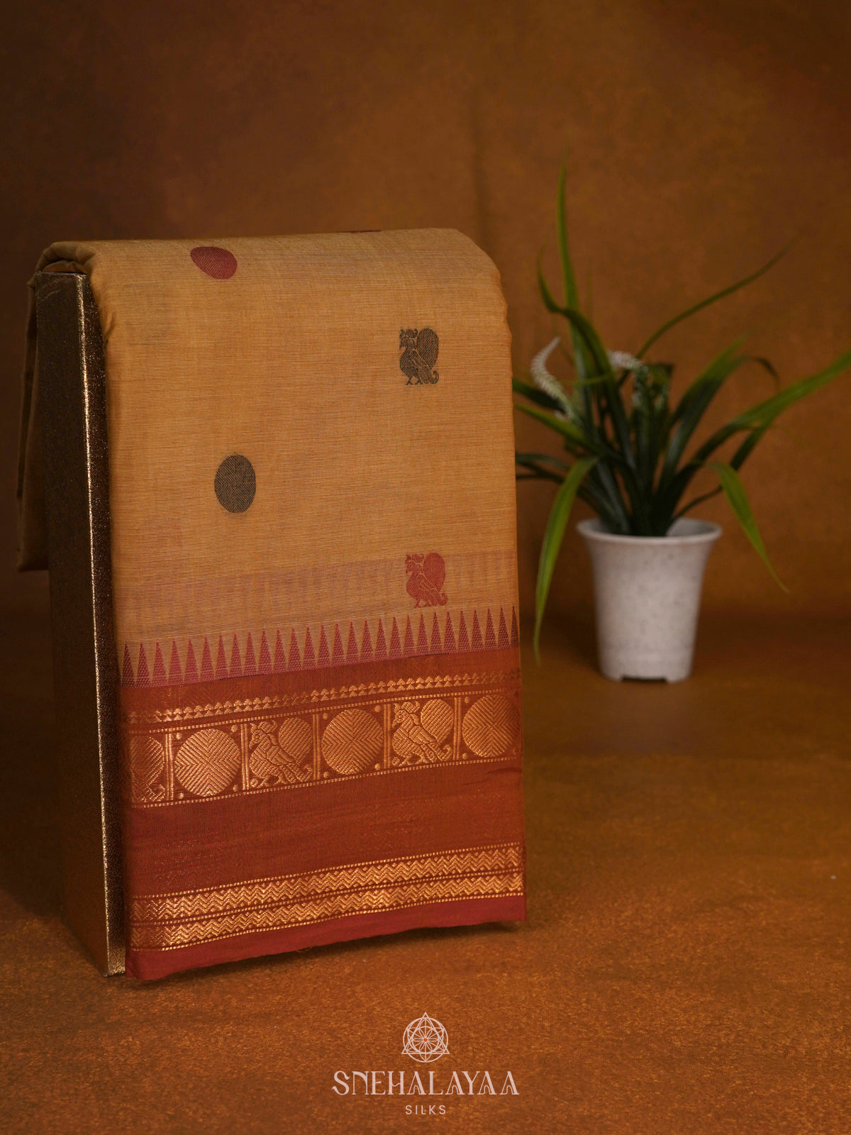 Mustard Kanchi Cotton Saree