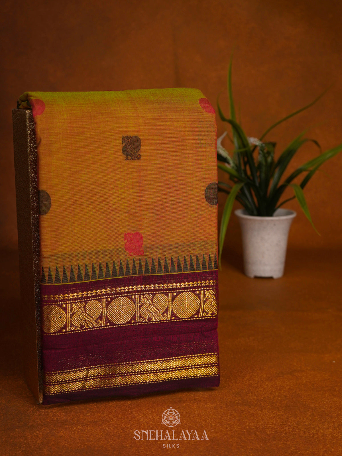 Mustard Kanchi Cotton Saree