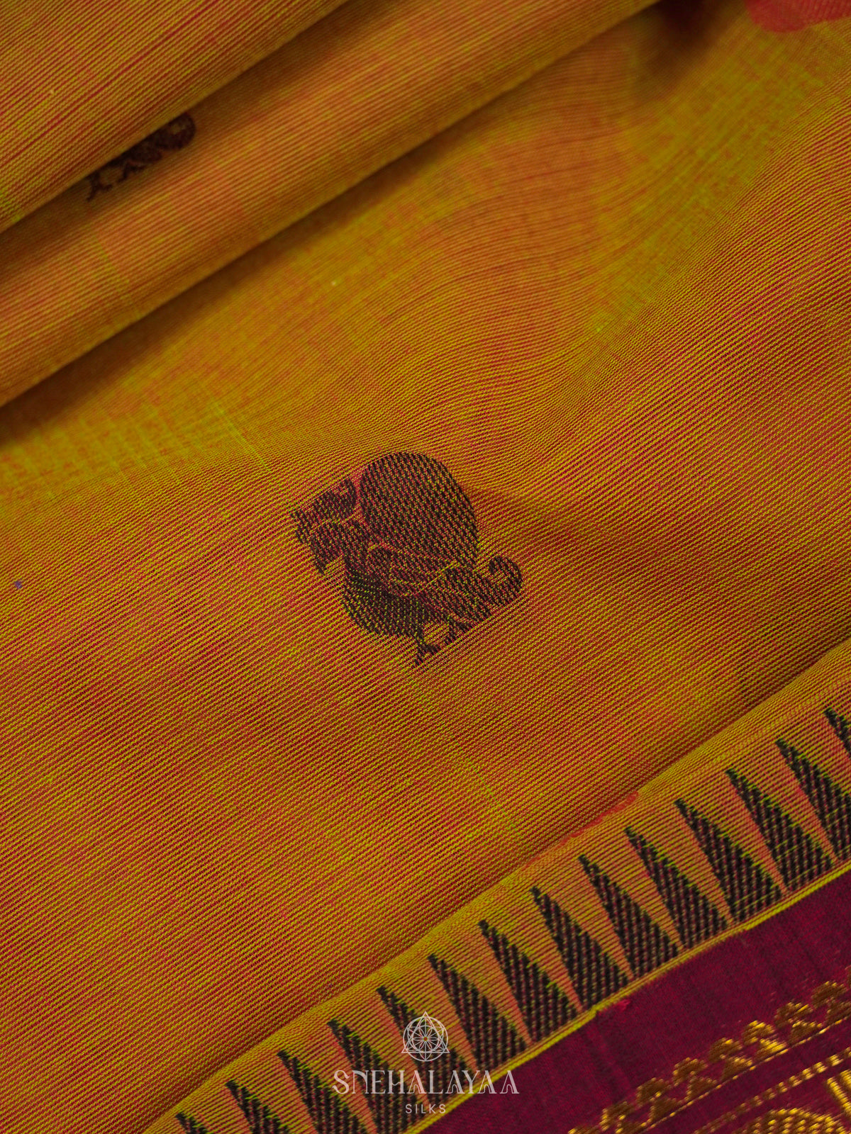 Mustard Kanchi Cotton Saree
