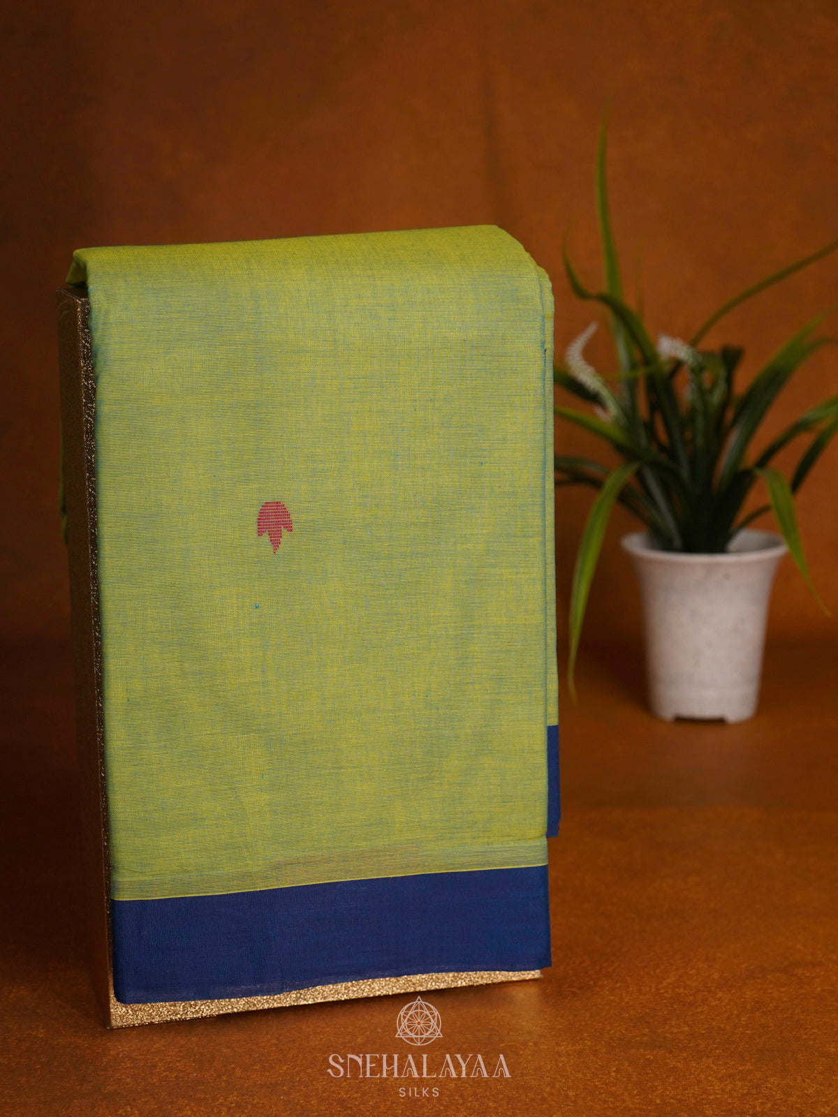 Pale Green Kanchi Cotton Saree