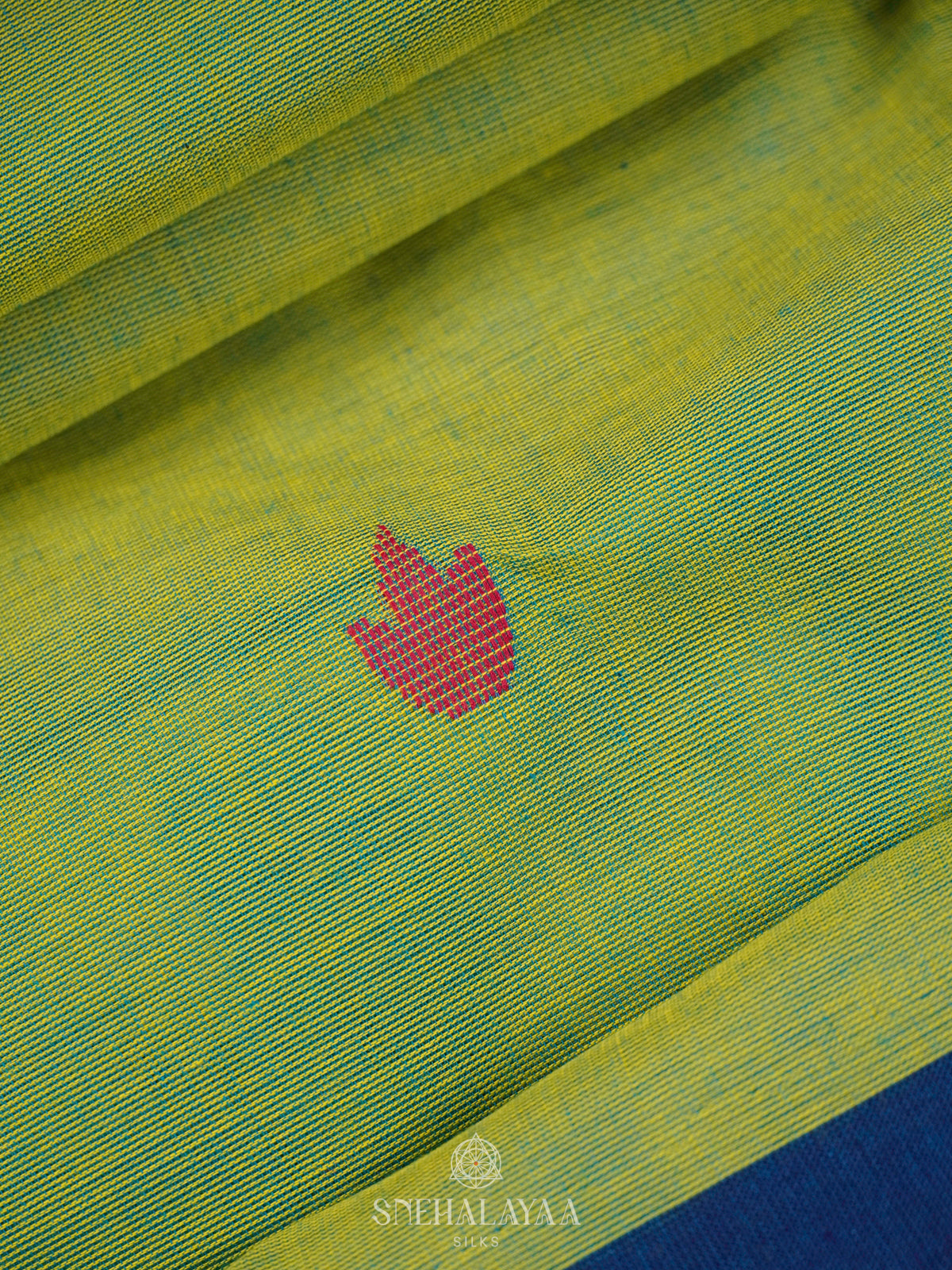 Pale Green Kanchi Cotton Saree