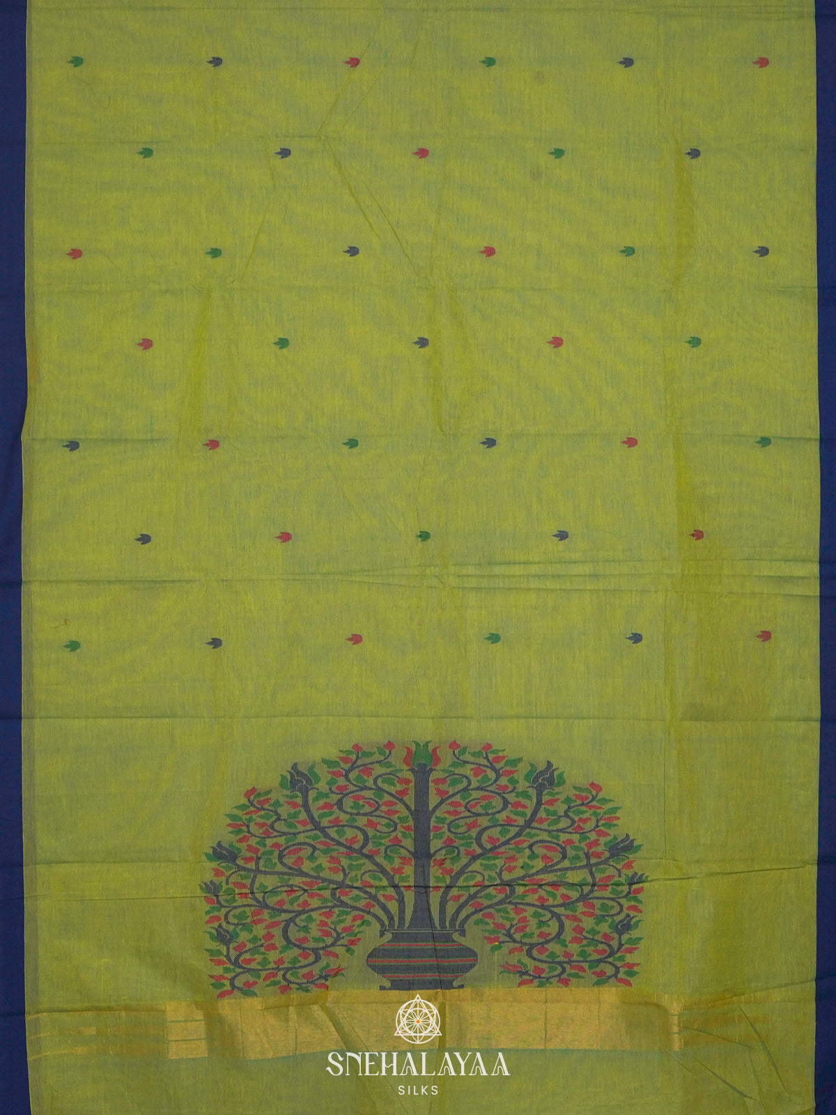 Pale Green Kanchi Cotton Saree