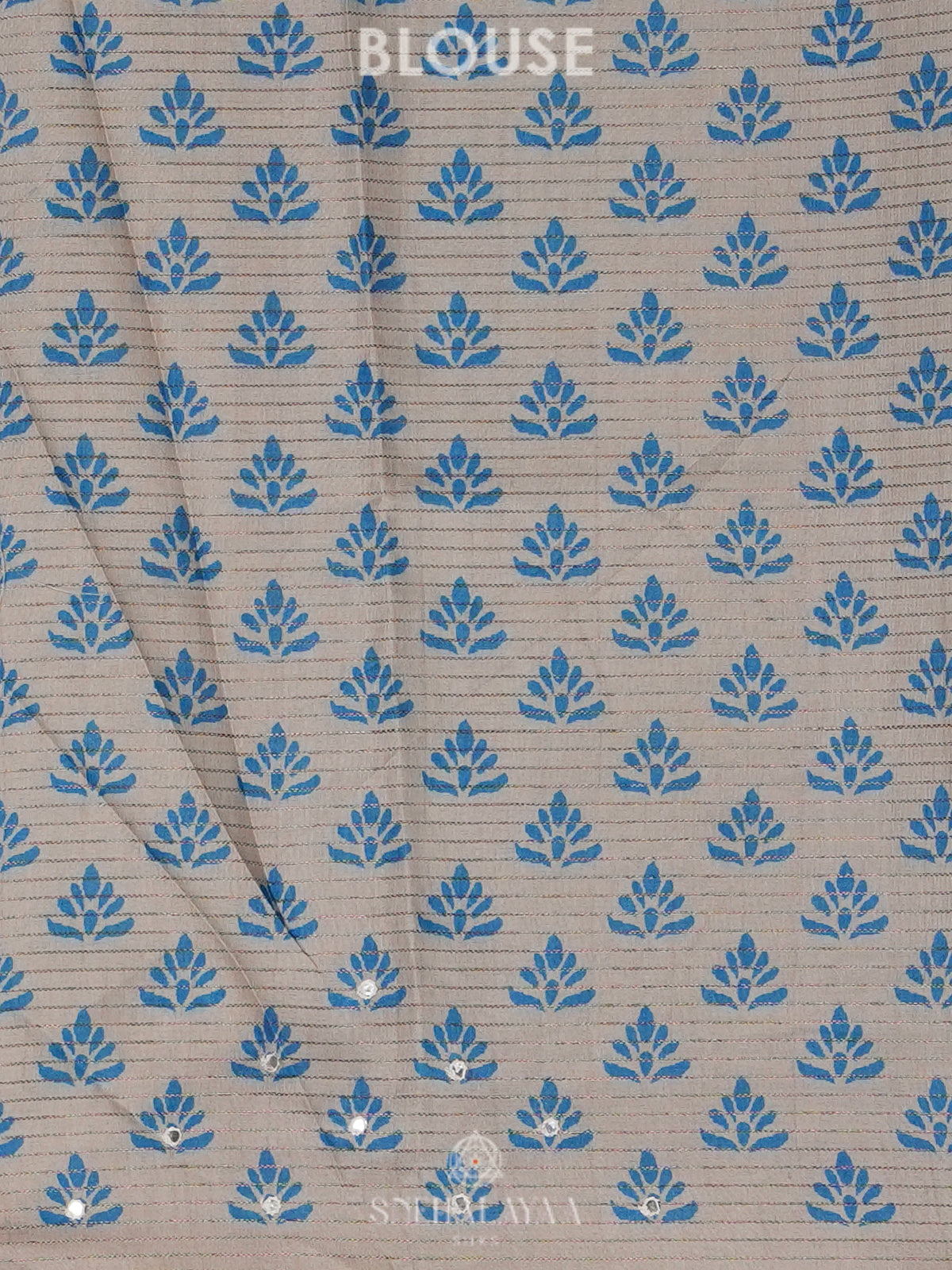 Beige with Blue Border Tussar Saree