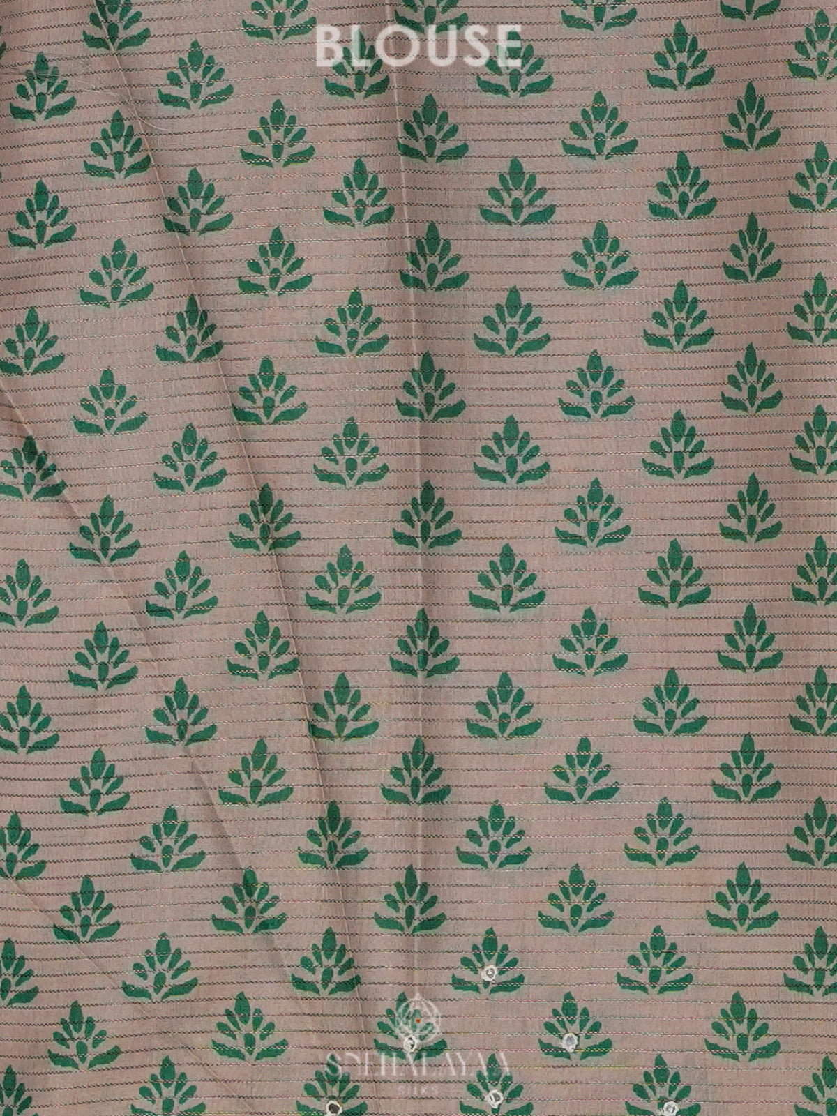 Beige with Green Border Tussar Saree