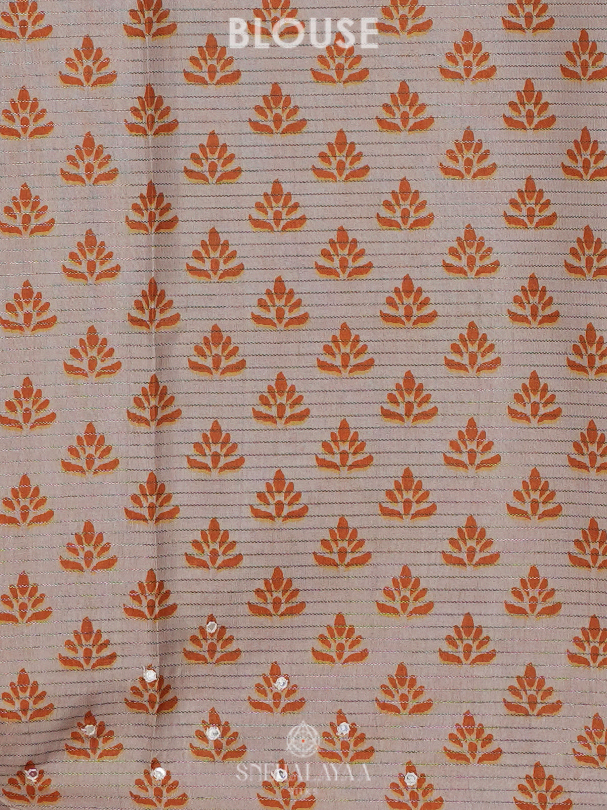 Beige with Orange Border Tussar Saree