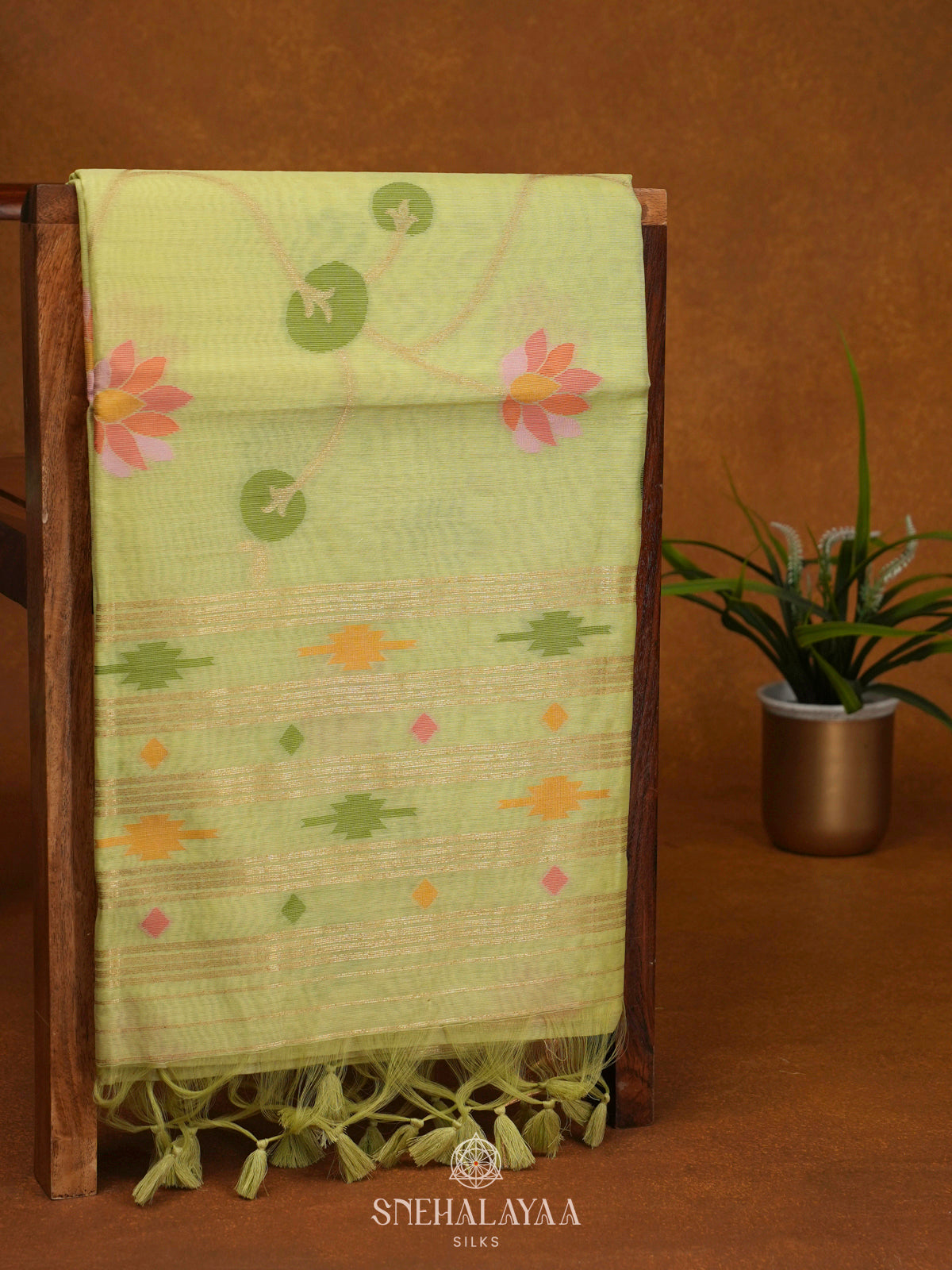 Pistachio Green Munga Cotton Saree
