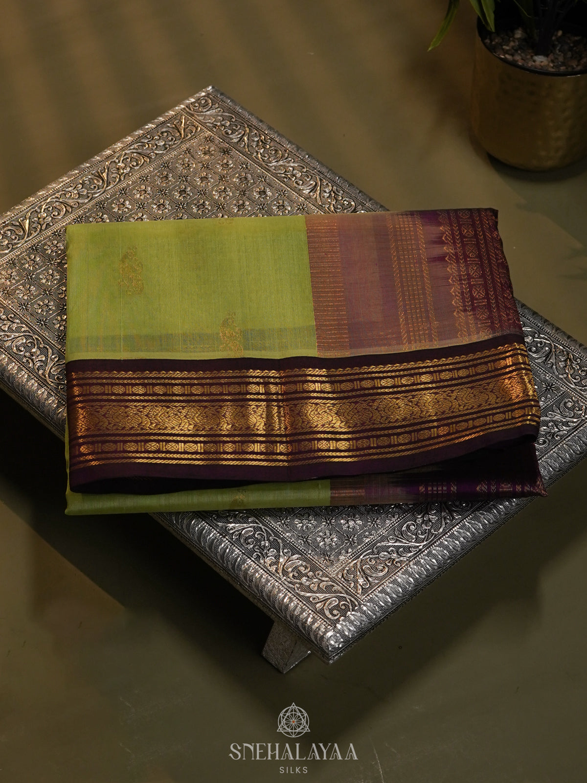 Pista Green Silk Cotton Saree with Zari Woven Buttas and Rich Golden Zari Border