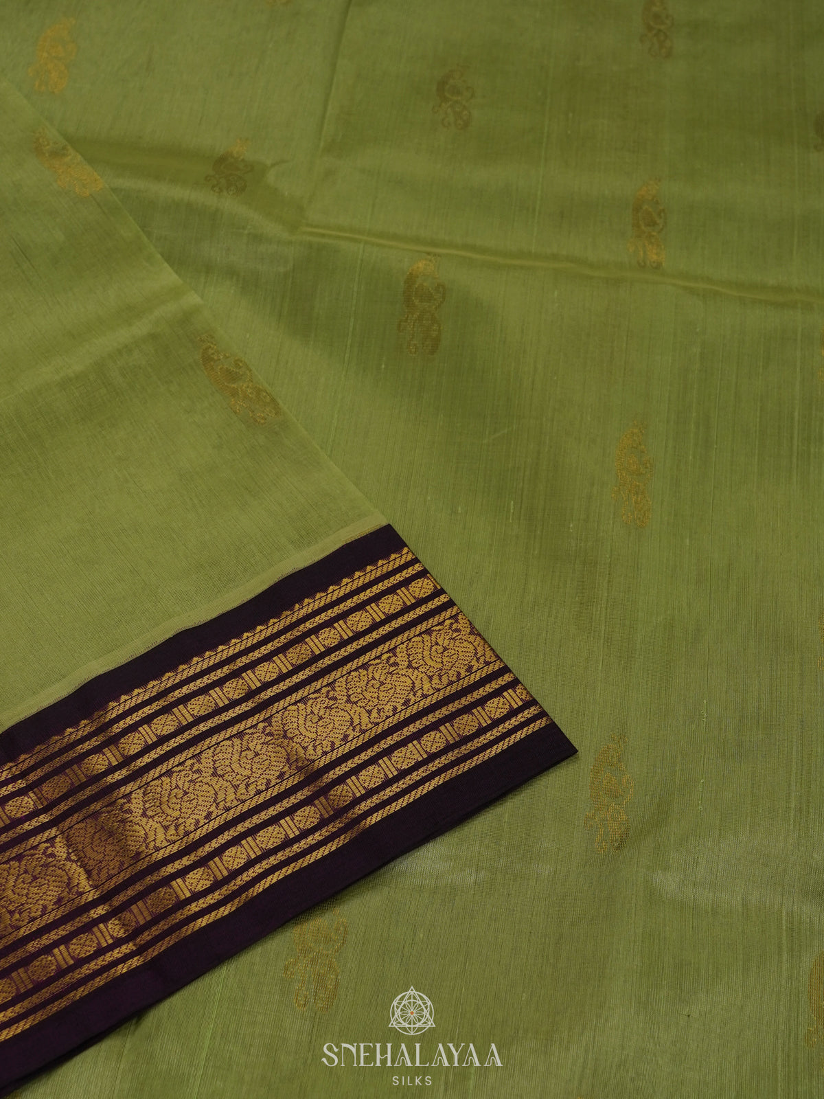 Pista Green Silk Cotton Saree with Zari Woven Buttas and Rich Golden Zari Border