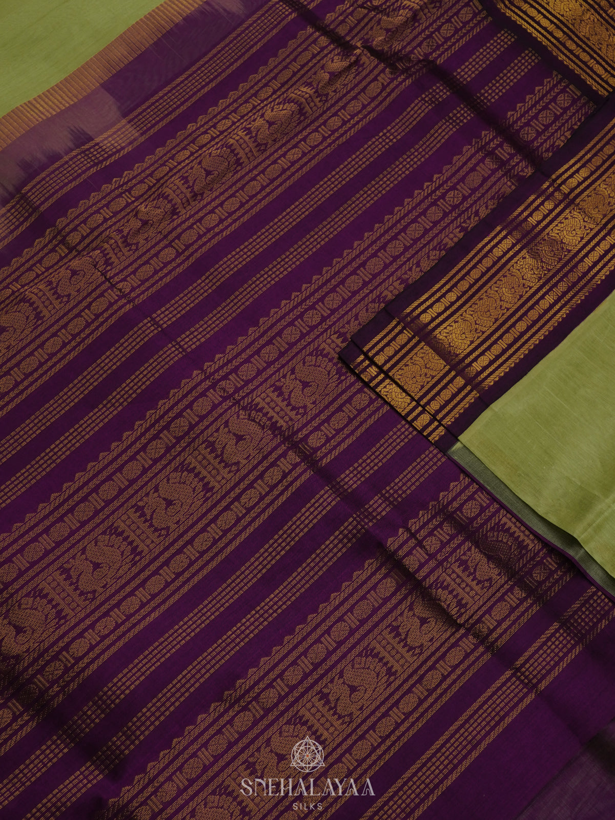 Pista Green Silk Cotton Saree with Zari Woven Buttas and Rich Golden Zari Border