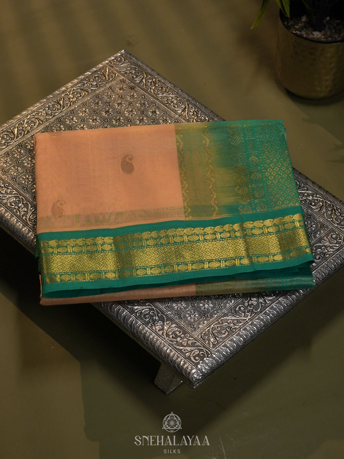 Cream Silk Cotton Saree with Zari Woven Buttas and Rich Golden Zari Border